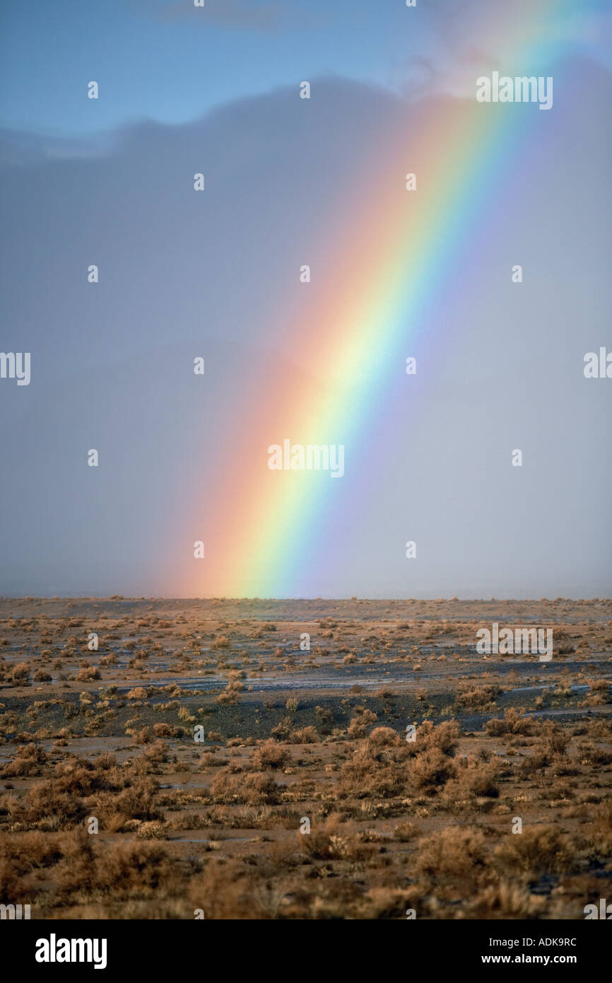 Rainbow con salvia Black Rock Desert National Conservation Area Nevada Foto Stock