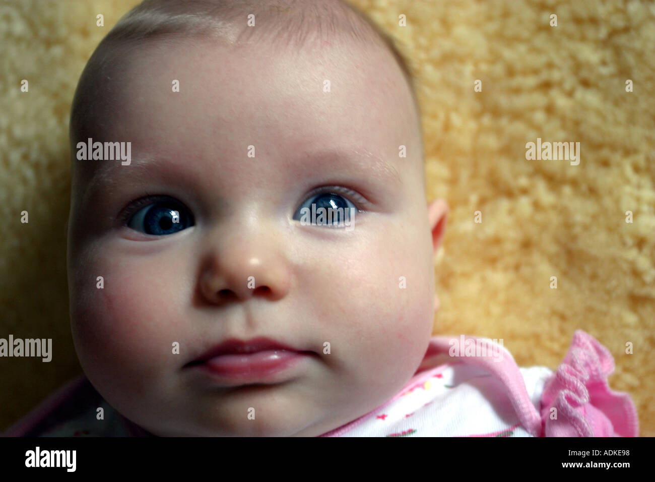 Neonato sdraiato sul vello Foto Stock