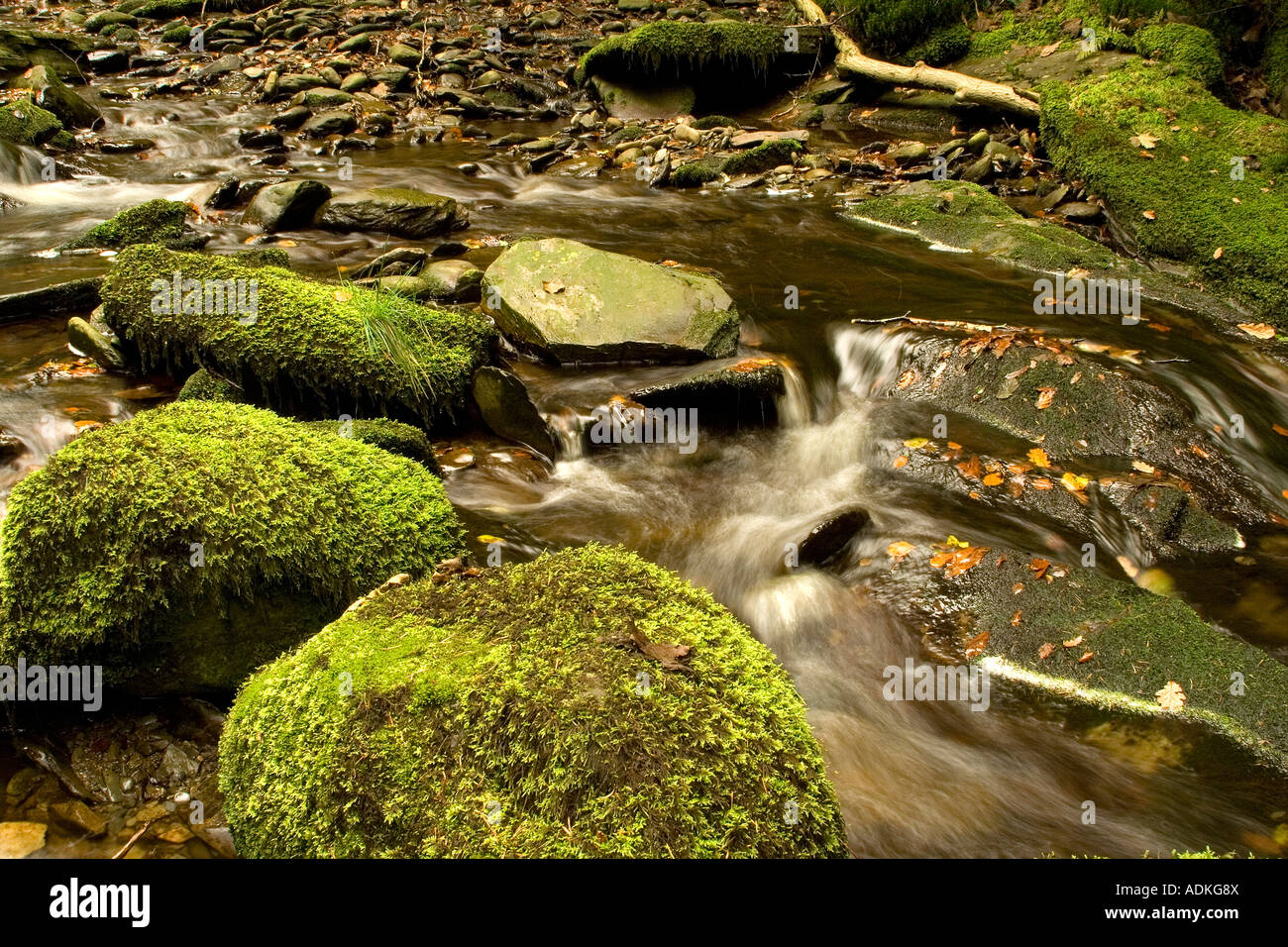 Un fiume in Haford station wagon, mid-Wales, vicino a Aberystwyth. Le pietre coperte di muschio. Foto Stock