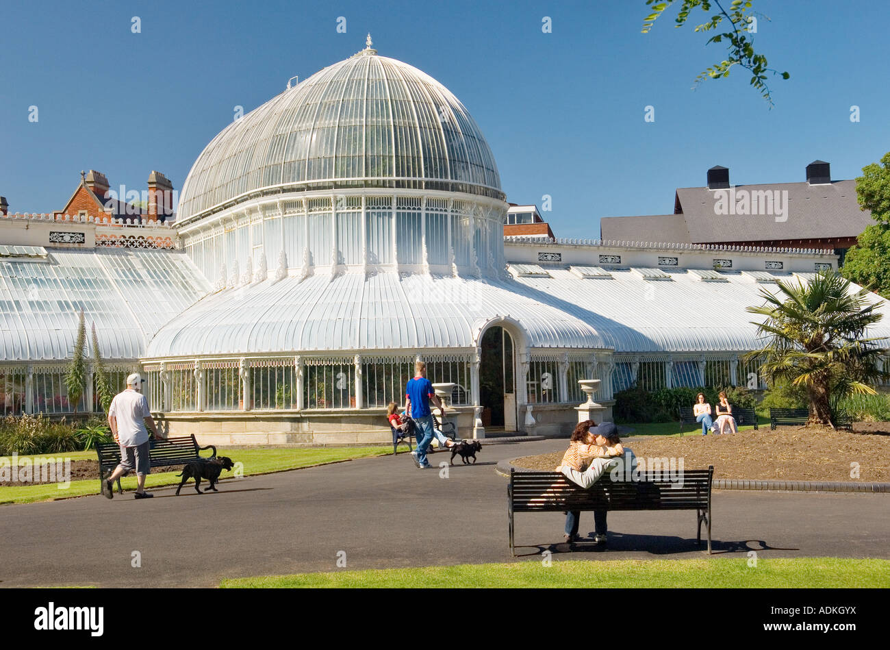 Centro di Belfast. La serra Victorian Palm House nei giardini botanici di Belfast Foto Stock