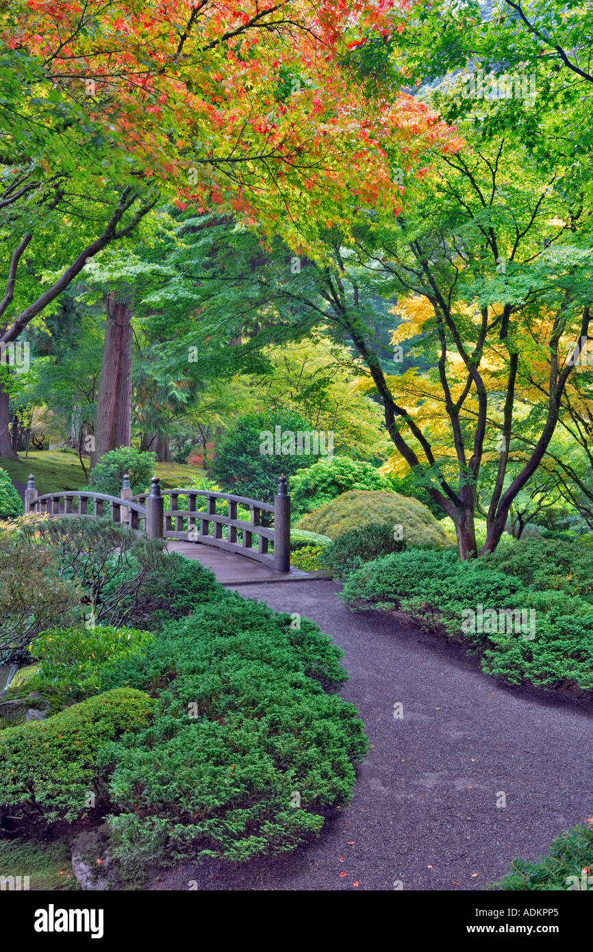 Autunno a colori con bridge, giardino Giapponese, Portland, Oregon Foto Stock
