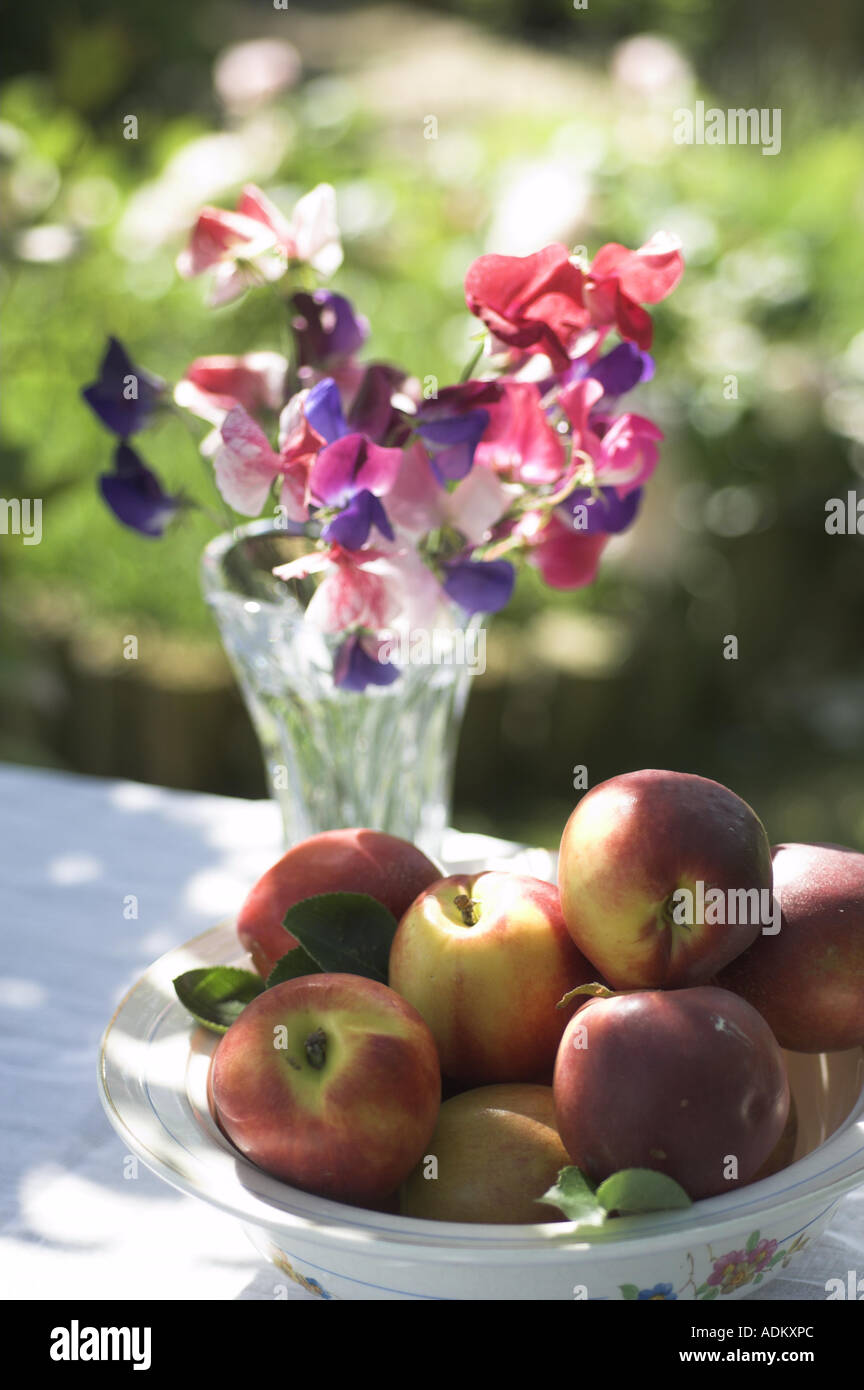 Nettarine e pesche noci e piselli dolci in un giardino estivo impostazione UK Giugno Foto Stock