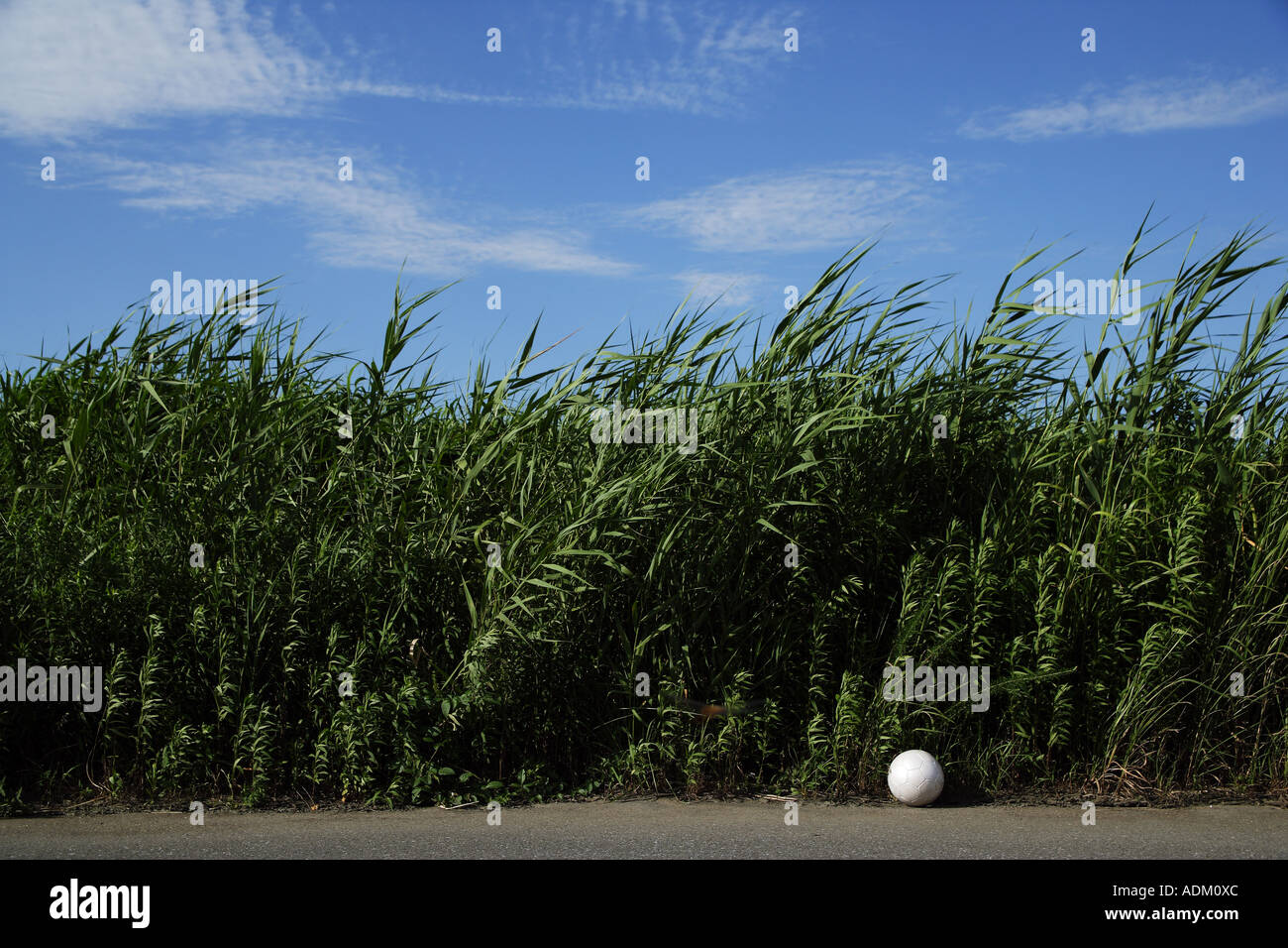 Pallone da calcio dal lato di una strada Foto Stock