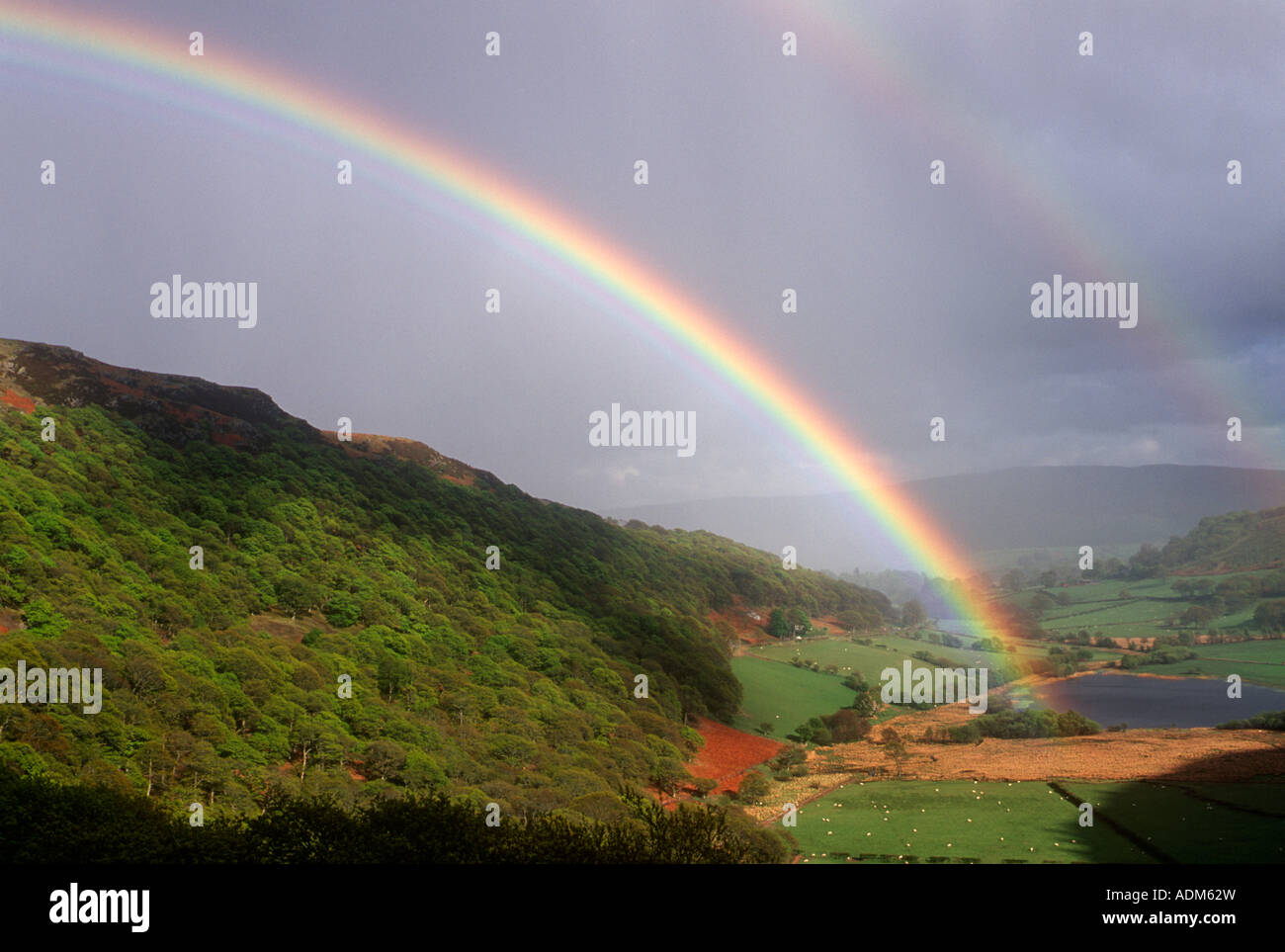 Rainbows oltre il Paesaggio vicino Rhayader Powys Mid Wales UK Foto Stock