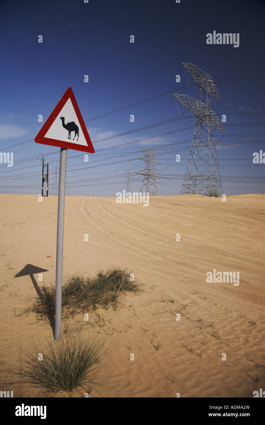 Attraversamento del cammello segno e elettricità tralicci Emirati Arabi Uniti EMIRATI ARABI UNITI Foto Stock