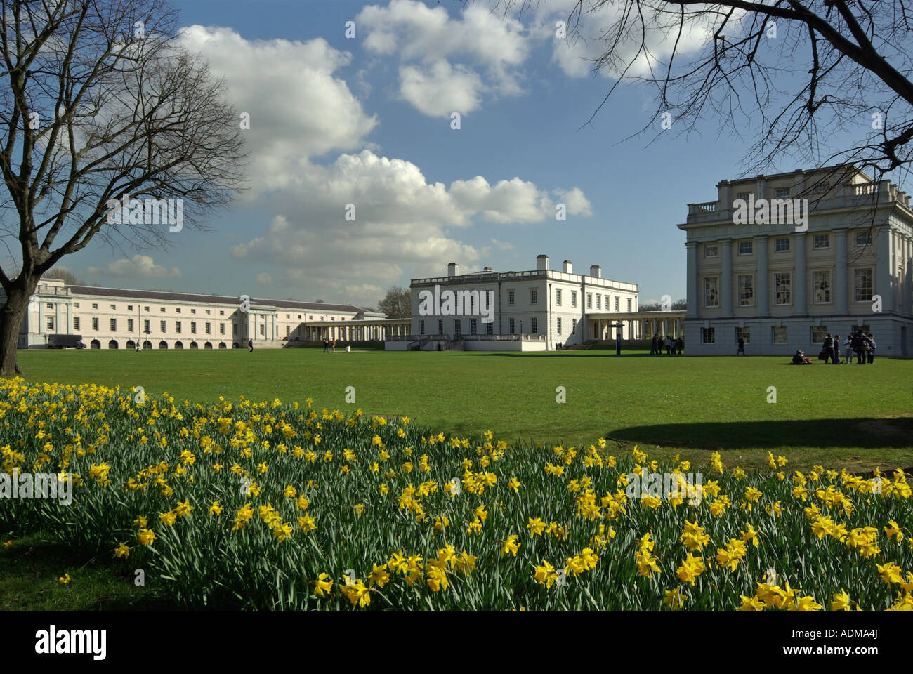 Il patrimonio del Regno Unito Queens House parte del Museo Marittimo Nazionale primavera narcisi in fiore storico edificio progettato da Inigo Jones Londra Greenwich Foto Stock