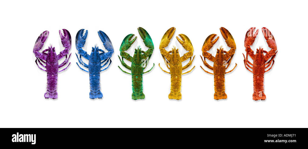 Festive lineup di color arcobaleno aragoste contro uno sfondo bianco Foto Stock