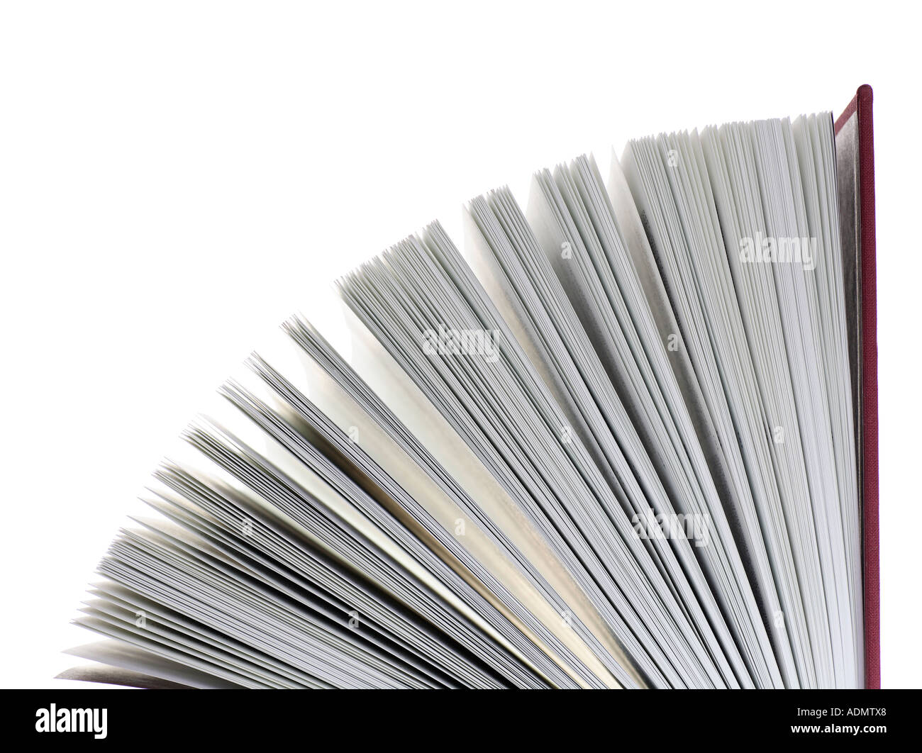 Le pagine di un libro aperto Foto Stock
