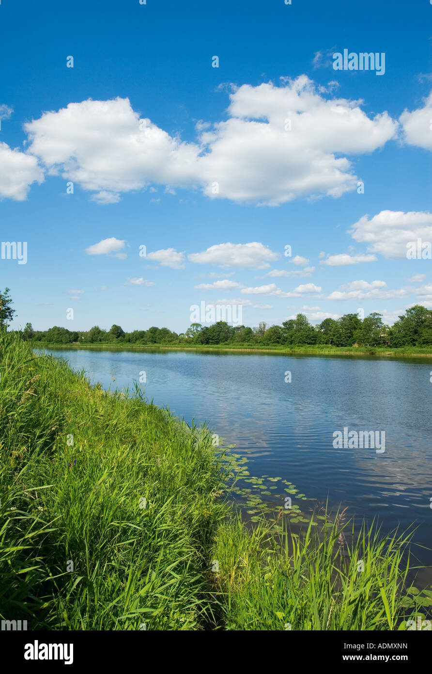 Banca del fiume di erba verde e blu cielo Foto Stock