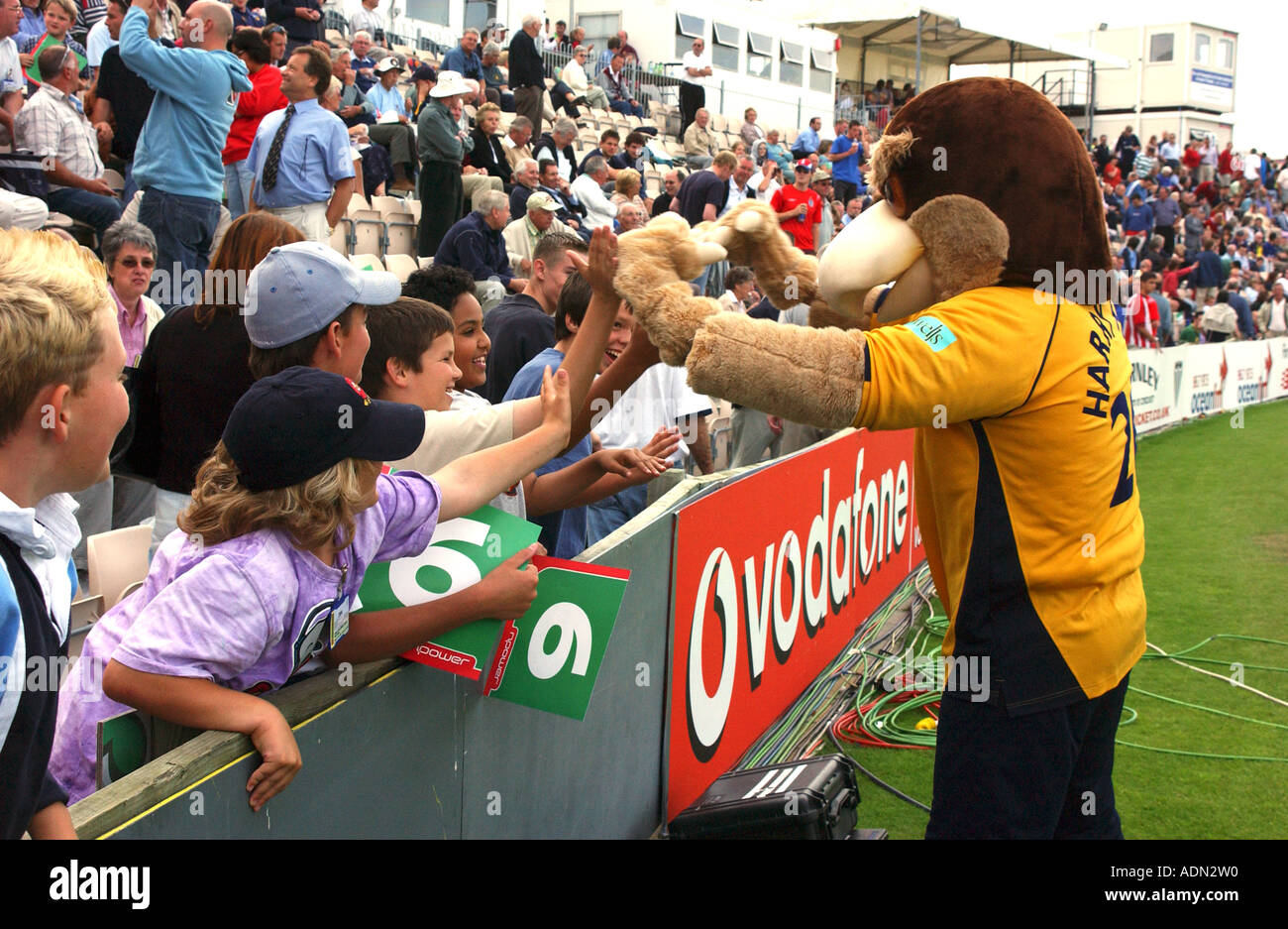 Il Hampshire Cricket squadra mascotte interagenti con i giovani tifosi ad una partita di cricket dotate di Hampshire a Southampton s Rose Bowl Foto Stock