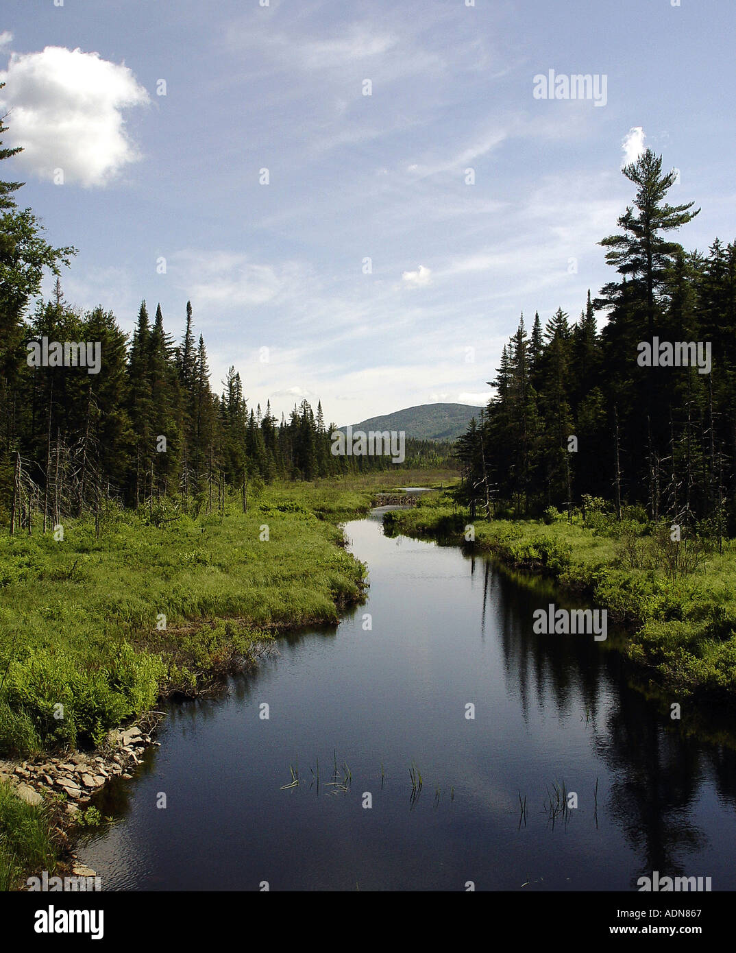 Una perfetta estate mattina nell'Adirondack State Park dello Stato di New York Foto Stock