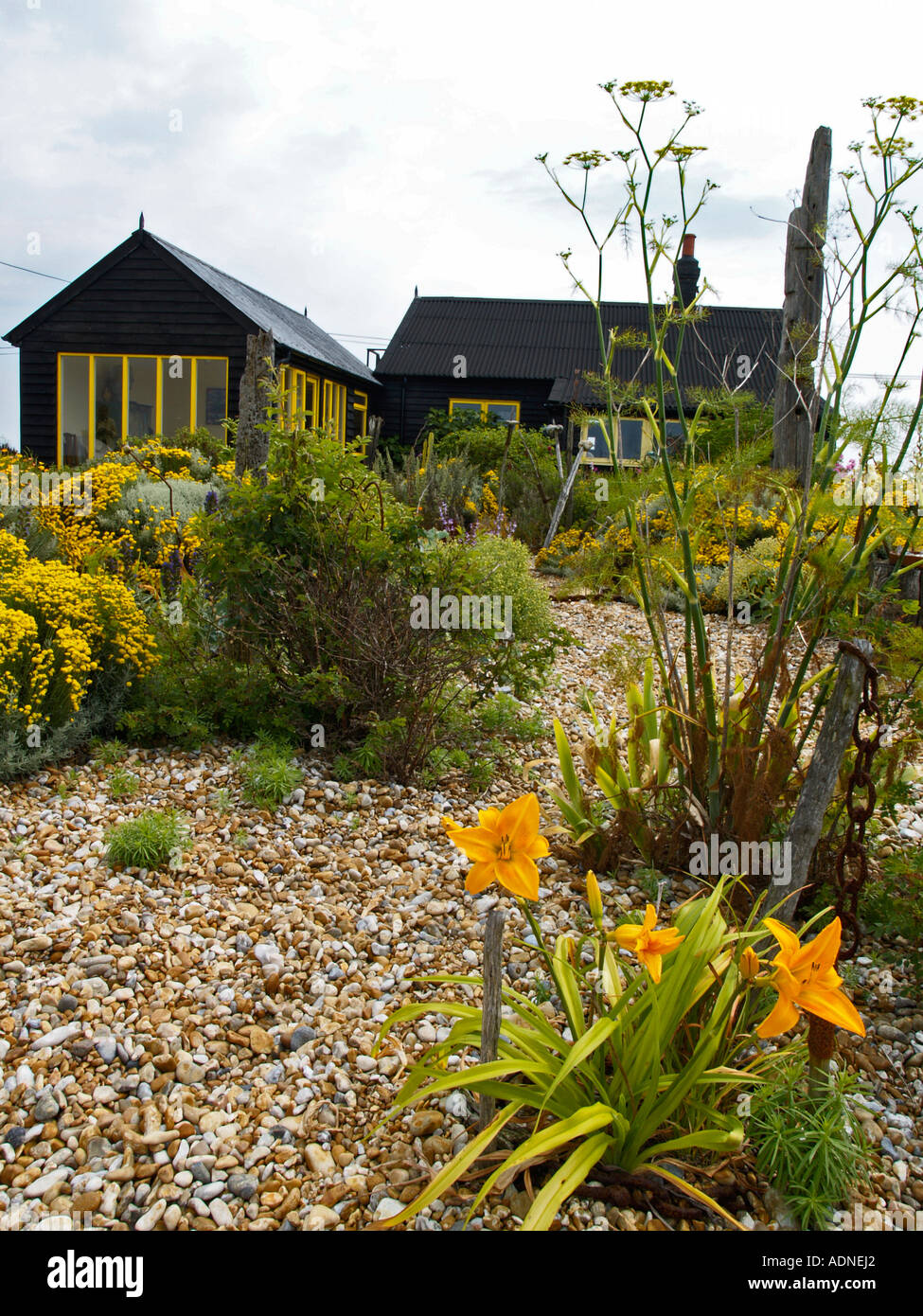 Immagine verticale della prospettiva Cottage la casa e il giardino precedentemente detenuta dal produttore di film Derek Jarman a Dungeness Kent REGNO UNITO Foto Stock