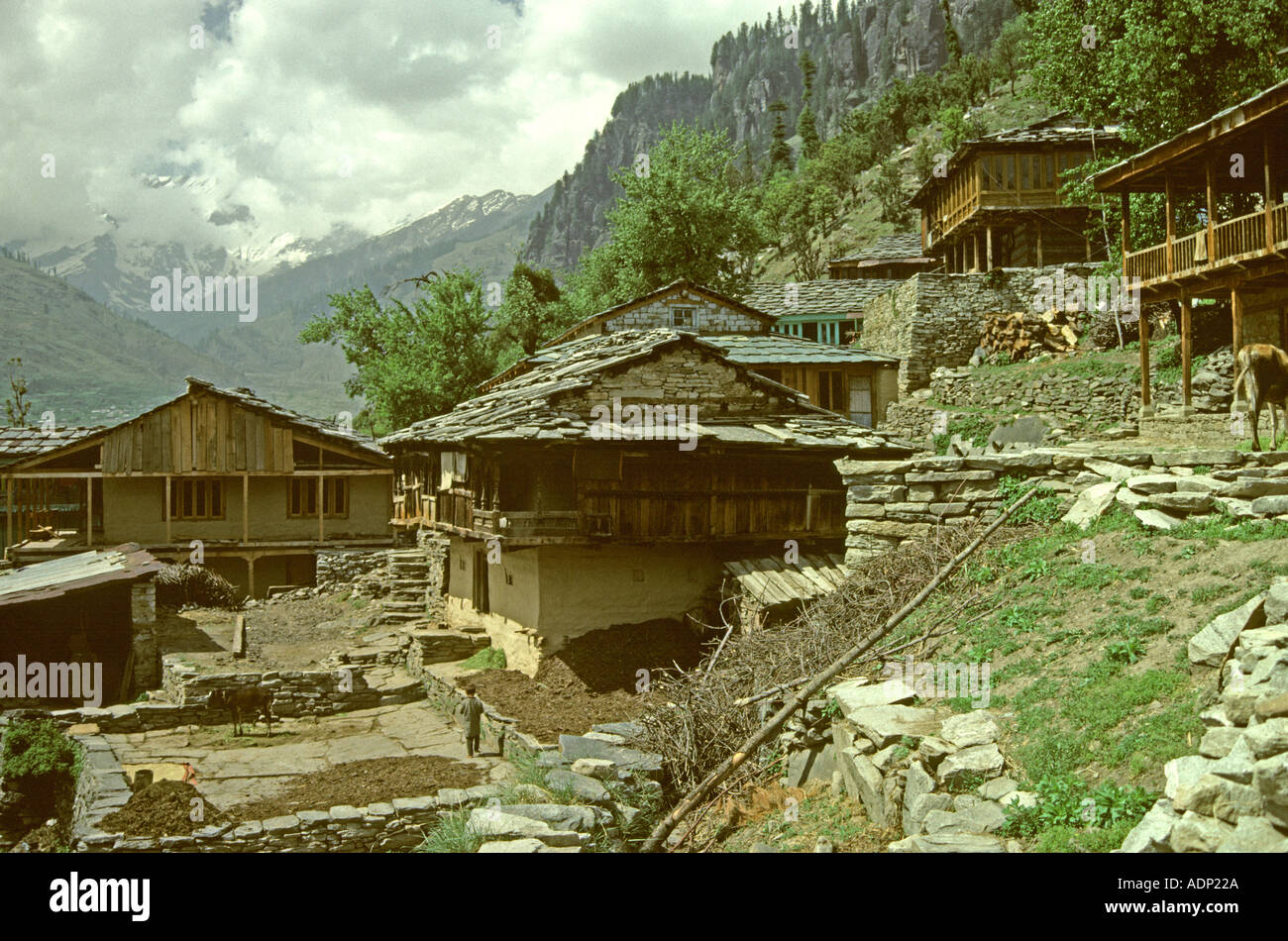 Vashist villaggio tibetano India Foto Stock