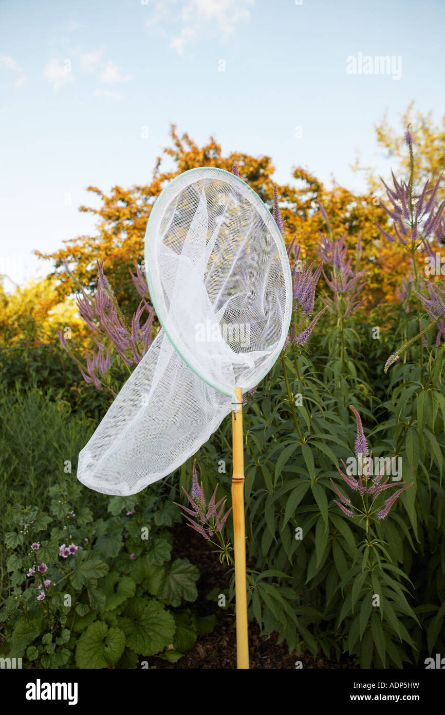Butterfly net e fiori selvatici Foto Stock