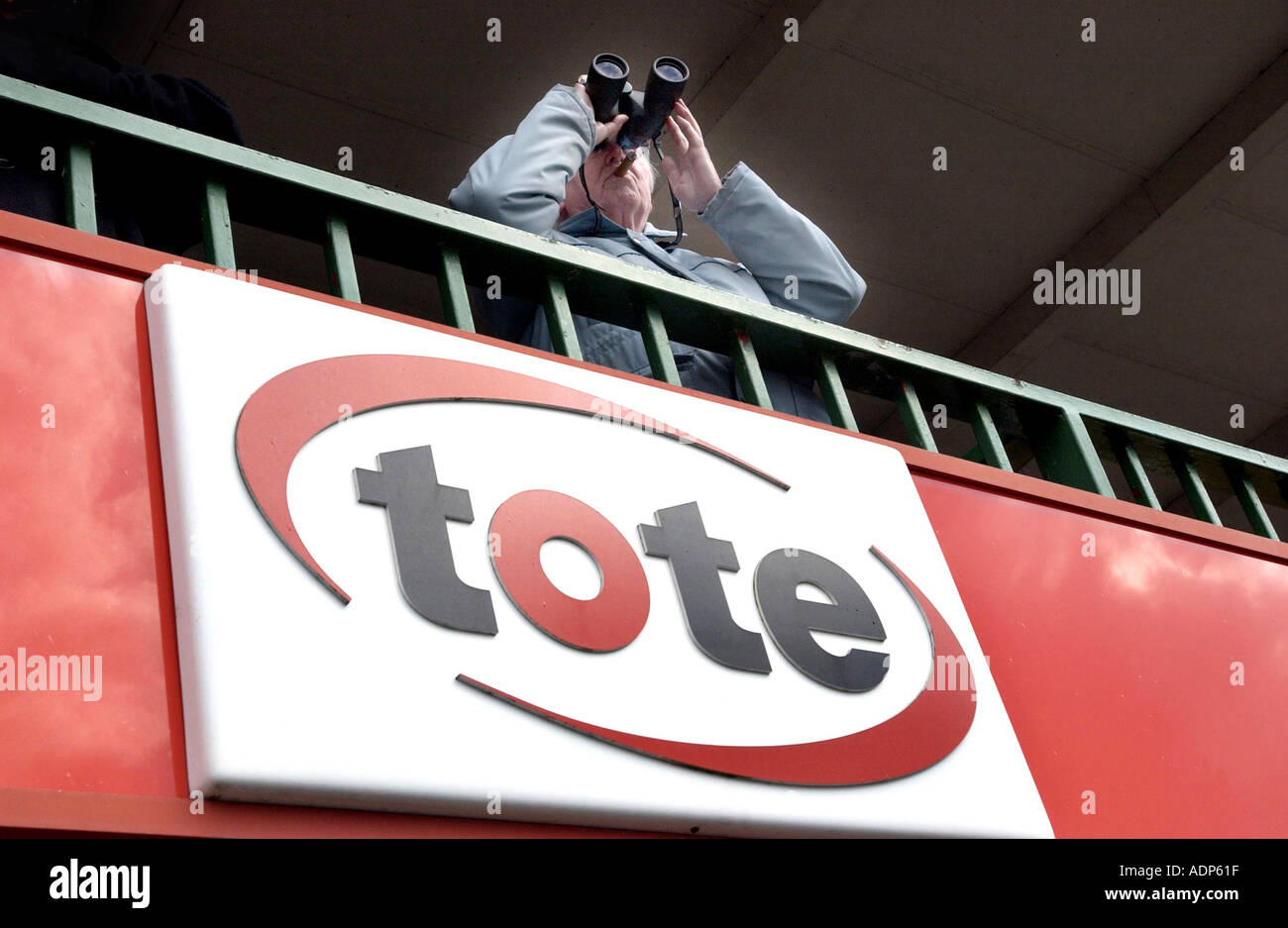 Un studi racegoer forma con il binocolo su un Tote logo su un balcone a Lingfield Park Racecourse, Surrey. Foto Stock