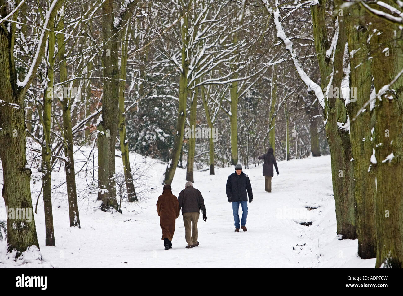 La gente a piedi in tutta coperta di neve Hampstead Heath London Regno Unito Foto Stock