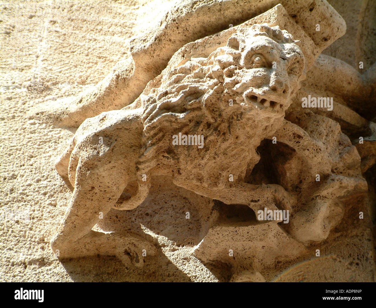 Gargoyle sullo scambio di seta, la Lonja, Valencia, Comunidad Valenciana, Spagna Foto Stock