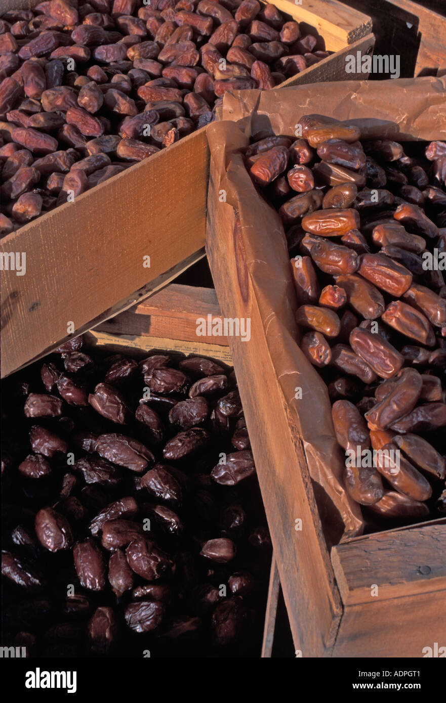 Date cresciuto in Indio California del Sud Foto Stock