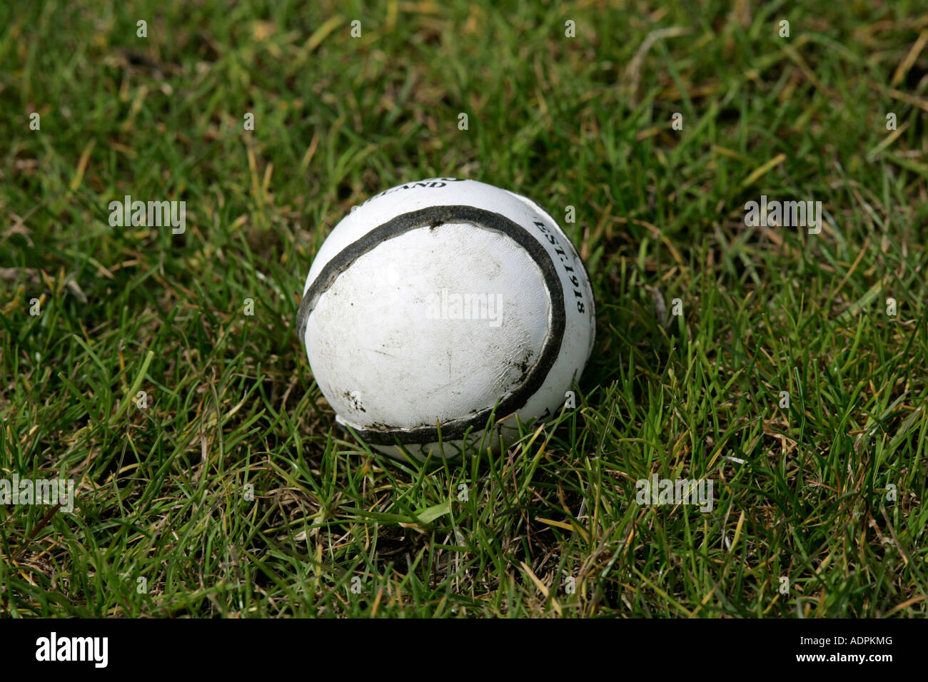 Cuoio sliothar hockey irlandese palla giacente sul campo in erba Foto Stock