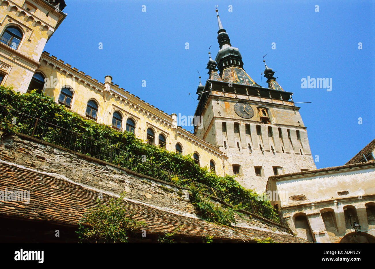 Sighisoara Segesvar torre dell orologio al di sopra delle porte di accesso alla cittadella medioevale Transilvania Romania Foto Stock