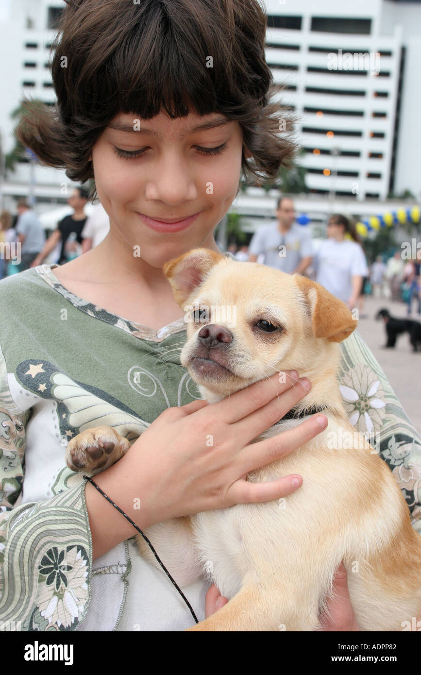 Miami Florida,Bayfront Park,camminate per gli animali,humane evento della società,cani,animali da compagnia,canine,animali,ispanici latinici immigranti etnici latini Foto Stock