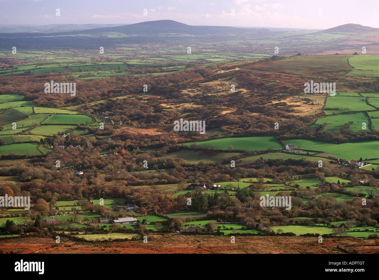 Ty Canol Bosco riserva naturale vicino a Newport Pembrokeshire West Wales UK Foto Stock