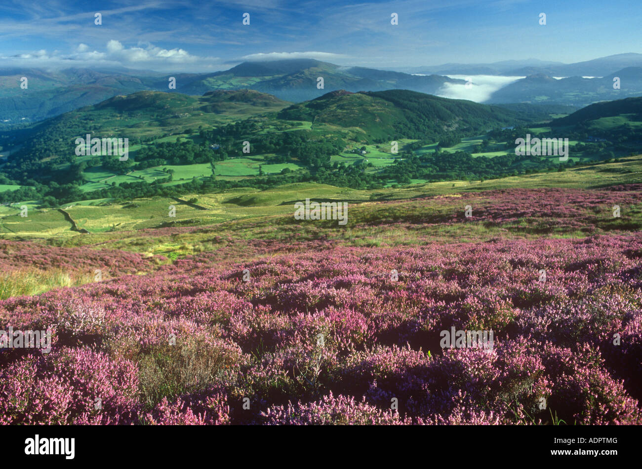 Panorama da Cadair Idris Snowdonia Gwynedd North West Wales UK Foto Stock