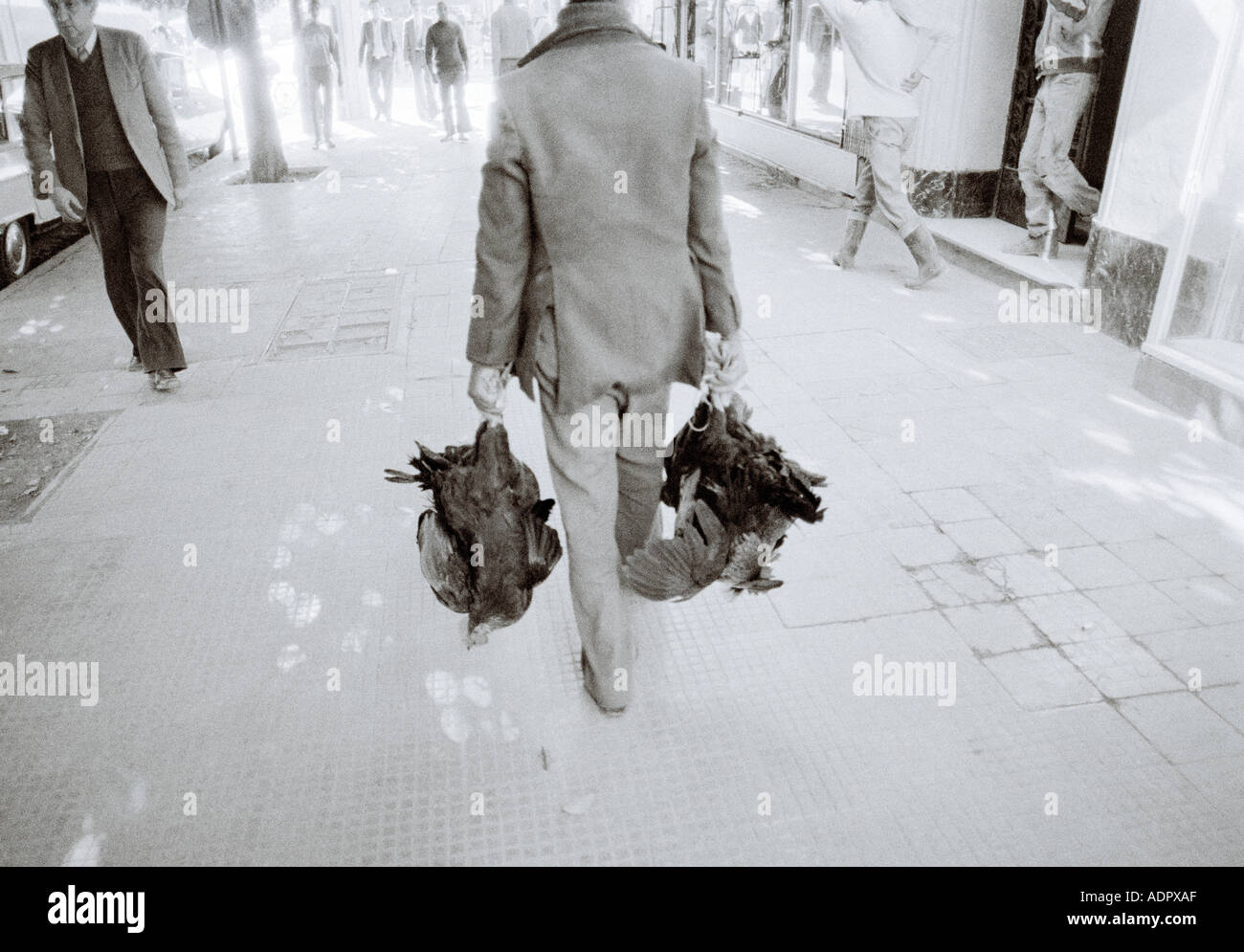 Uomo con capriate di polli per le strade della Ville Nouvelle città nuova di Fez in Marocco nel Maghreb in Nord Africa Sahara. Popolo marocchino Fes Foto Stock