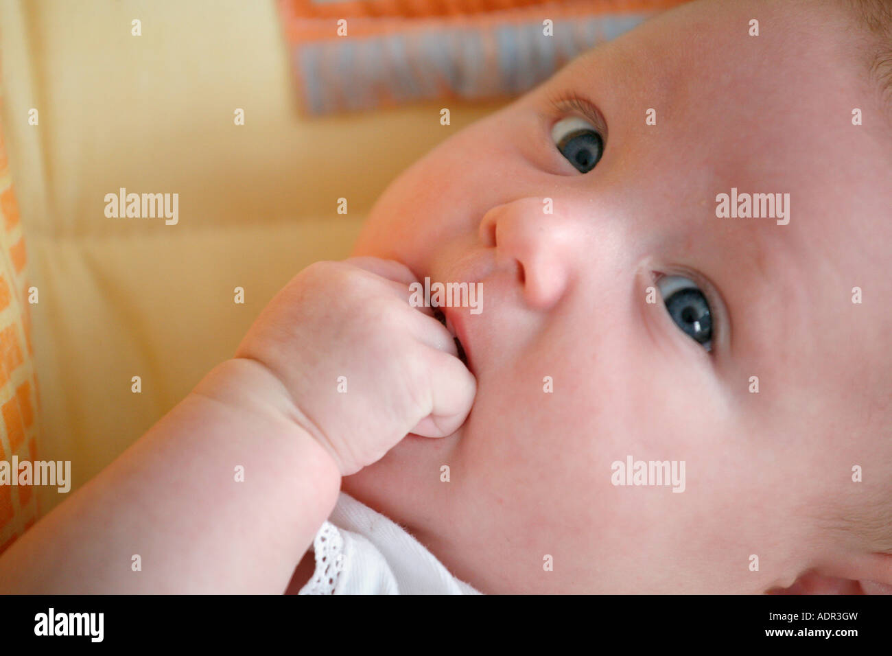 Modello rilasciato dieci settimane vecchio Baby girl Foto Stock