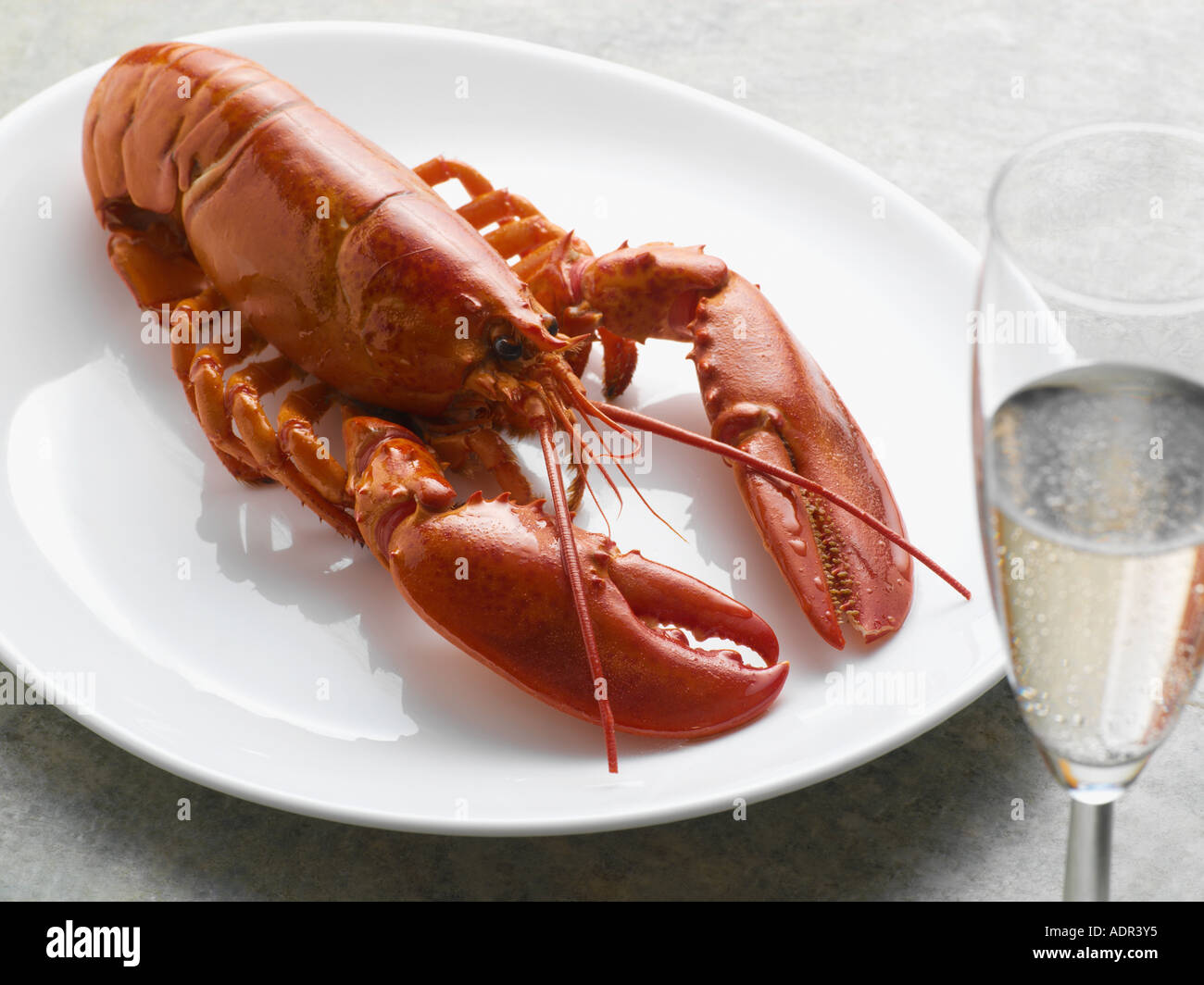 Aragosta e champagne Foto Stock