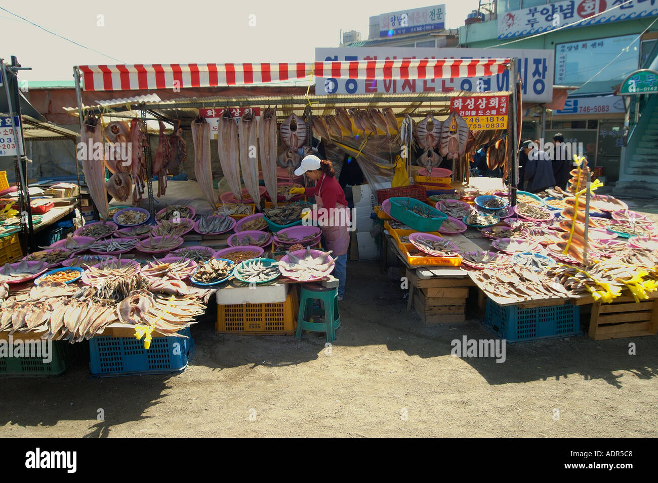 Pesci secchi per la vendita al mercato di frutti di mare nei pressi di Yeongjongdo pier Incheon Gyeonggi Do Corea del Sud Foto Stock