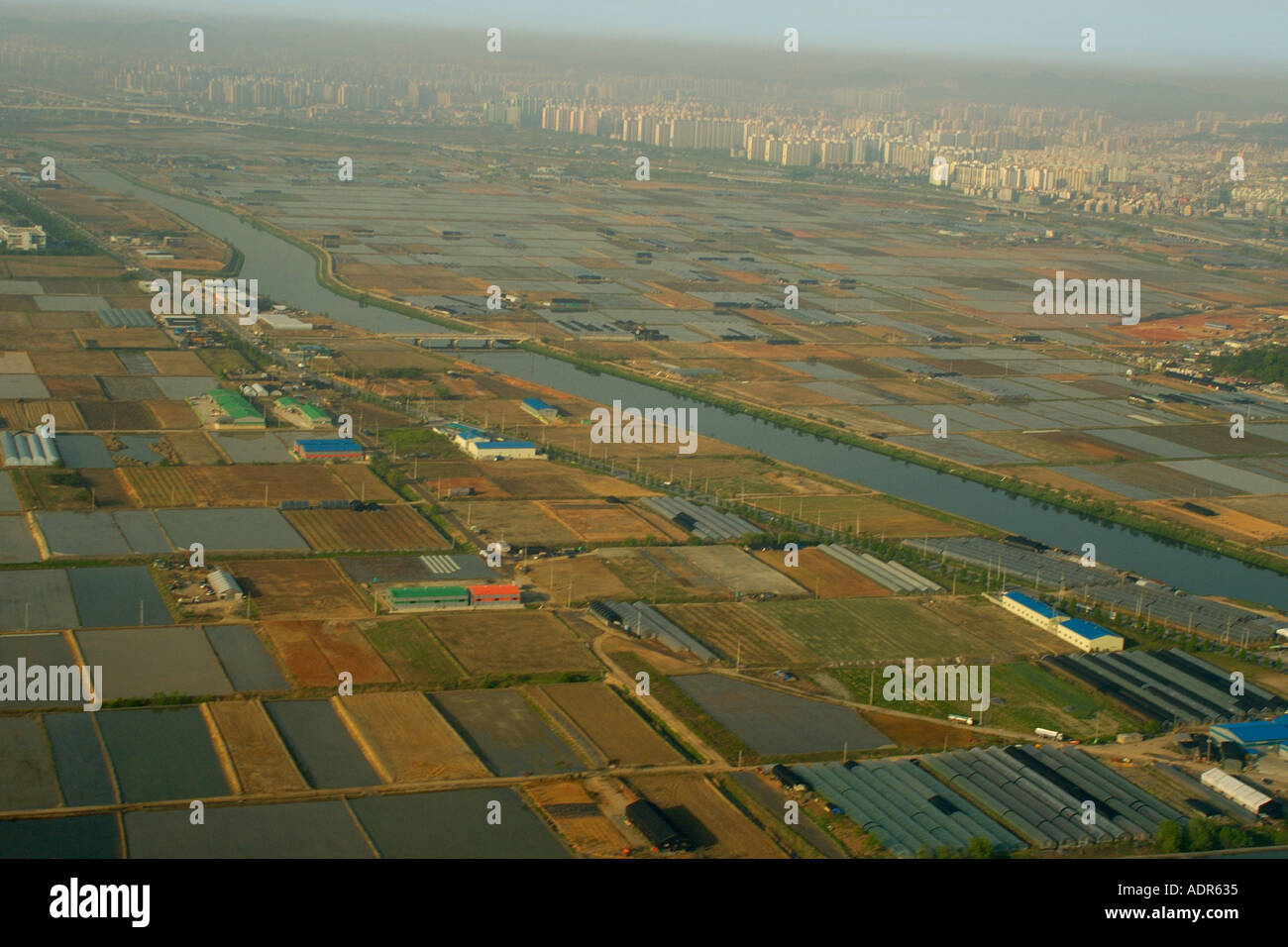 Vista aerea di campi di riso e gli edifici vicino a Seoul Gimpo Gyeonggi Do Corea del Sud Foto Stock