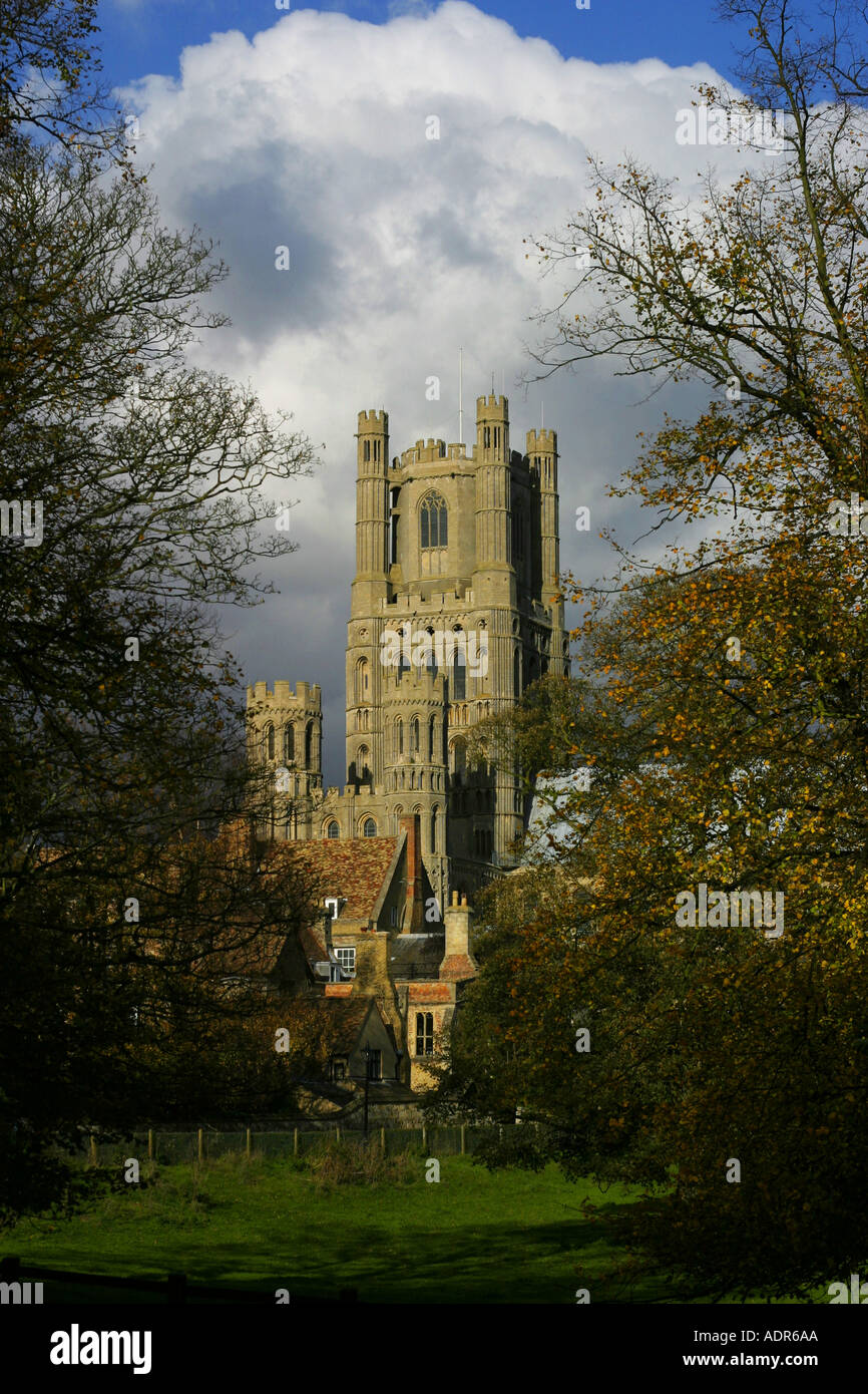 Cattedrale di Ely Ely Città Cambridgeshire Regno Unito Foto Stock