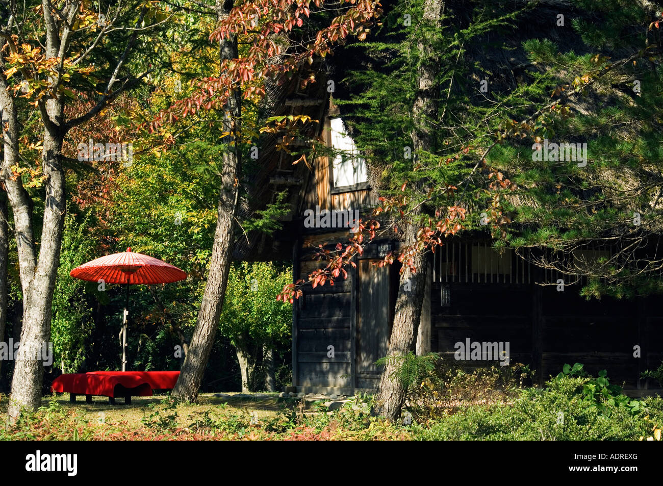 La cerimonia del tè casa Gassho Zukkuri tetto di paglia Gable case a Shirakawago Ogimachi Città patrimonio mondiale Unesco sito Prefec Gifu Foto Stock