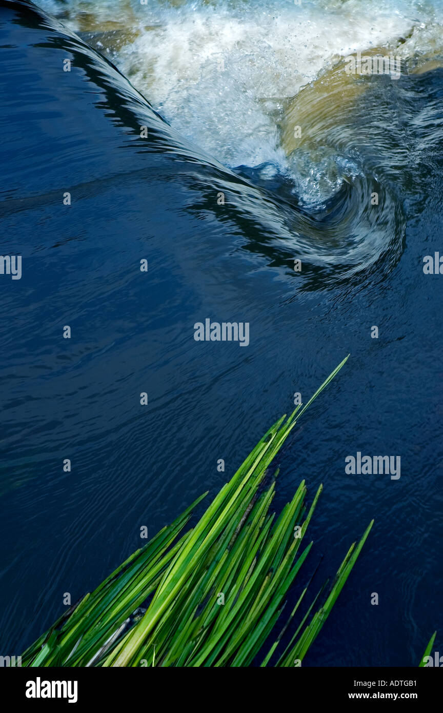 Acqua di un fiume che scorre nel vortice della vita simbolo omeopatia Foto Stock