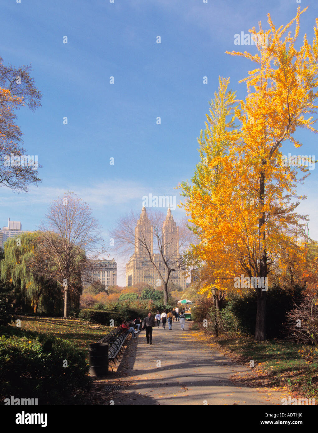 New York City Central Park in autunno girando le lamine vibranti fogliame di autunno Foto Stock