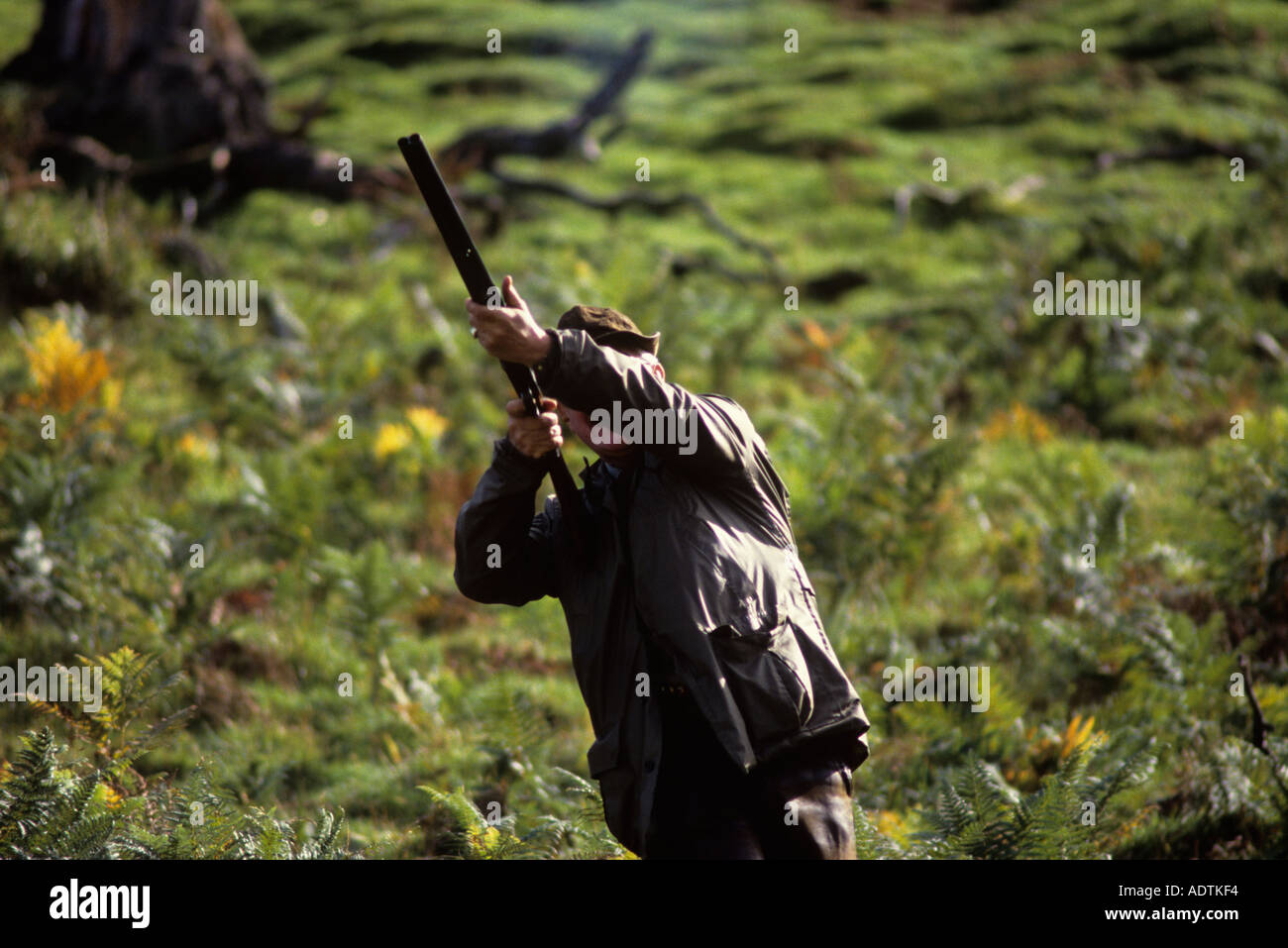 SHOOTER allineando il BIRD DURANTE UNA RIPRESA IN SCOZIA Foto Stock