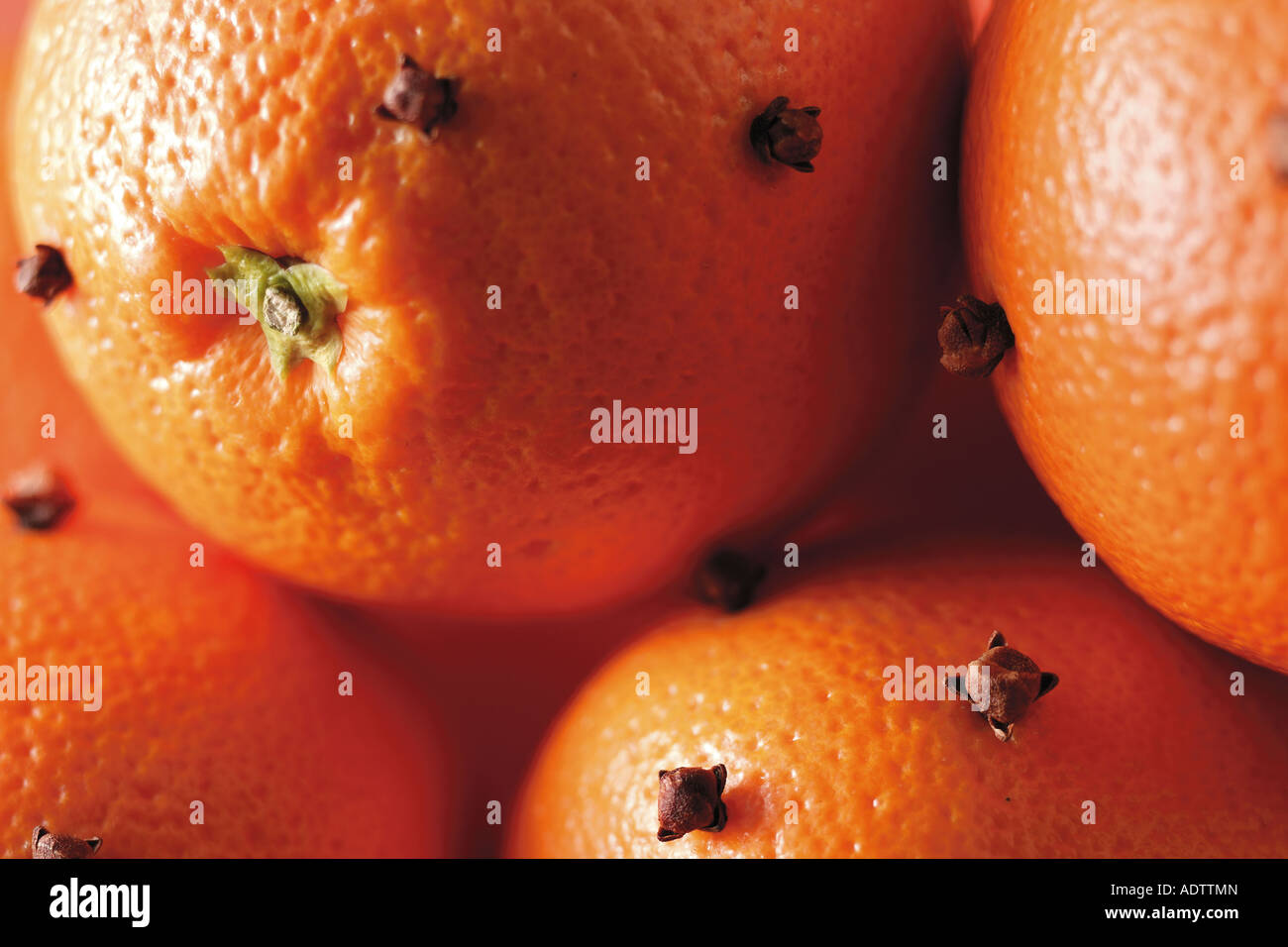 Arance tutta costellata di chiodi di garofano, close up telaio di riempimento Foto Stock