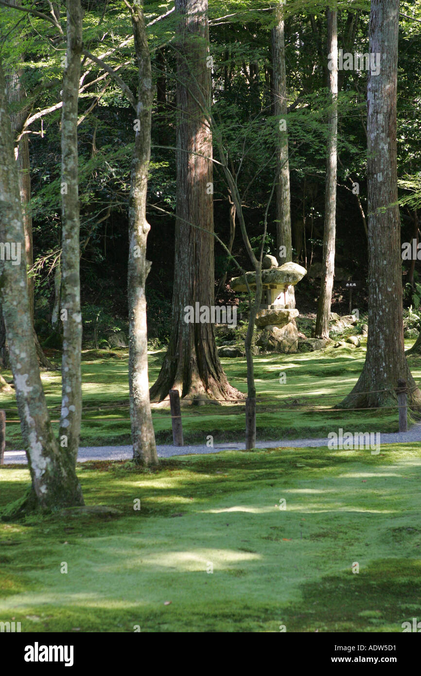 Tradizionale giardino Giapponese con lussureggiante verde muschio all Sanzen nel tempio Ohara kyoto Asia Giappone Foto Stock
