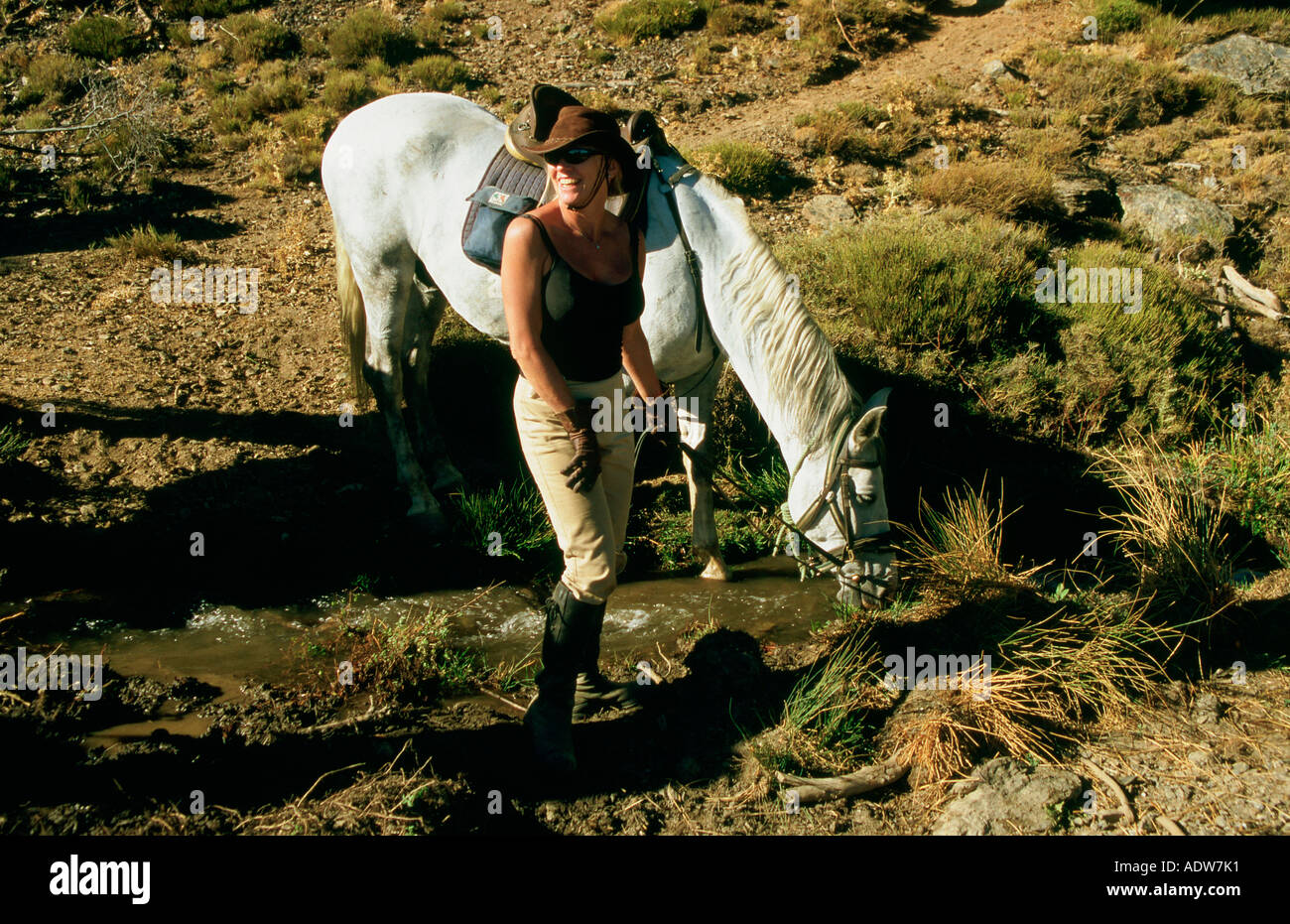 Irrigazione pilota il suo cavallo in Alpujarra in Sierra Nevada Spagna Foto Stock