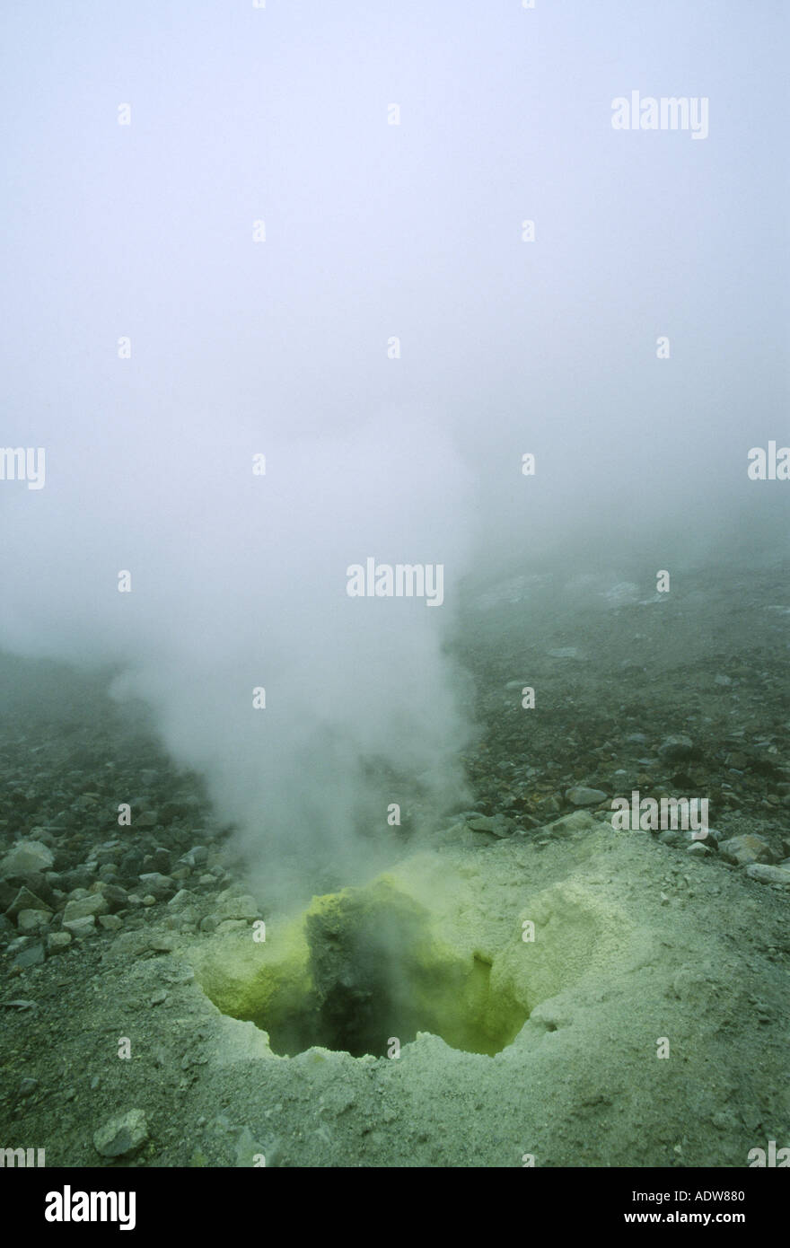 Fumarola sul vulcano Mutnovski Kamchatka Russia Foto Stock