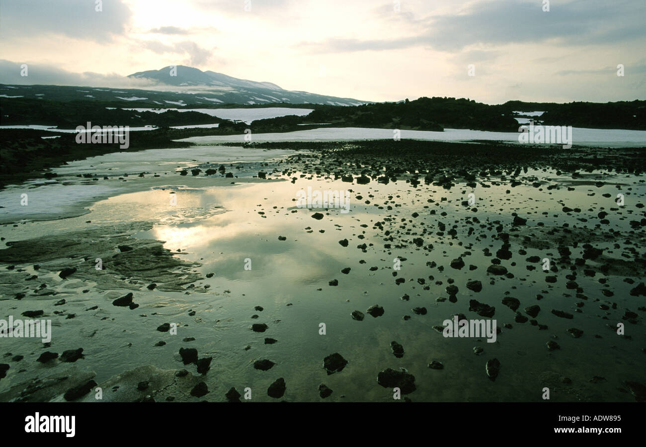 Pianura vulcanica nr Mutnovski vulcano Kamchatka Russia Foto Stock