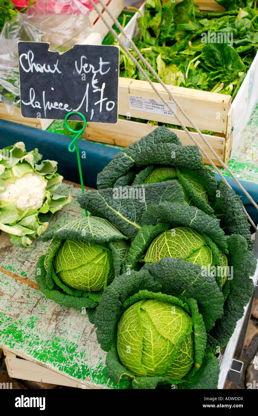 Cavolo verza, mercato di Francia Foto Stock