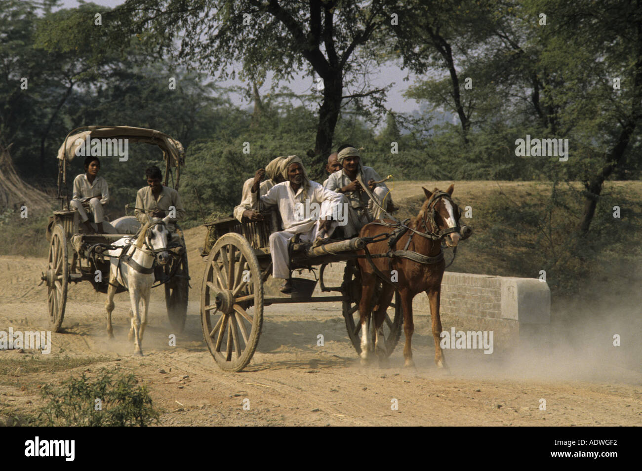 Il trasporto di cavalli del cavallo e del carrello le persone che viaggiano su strada polverosa India Foto Stock