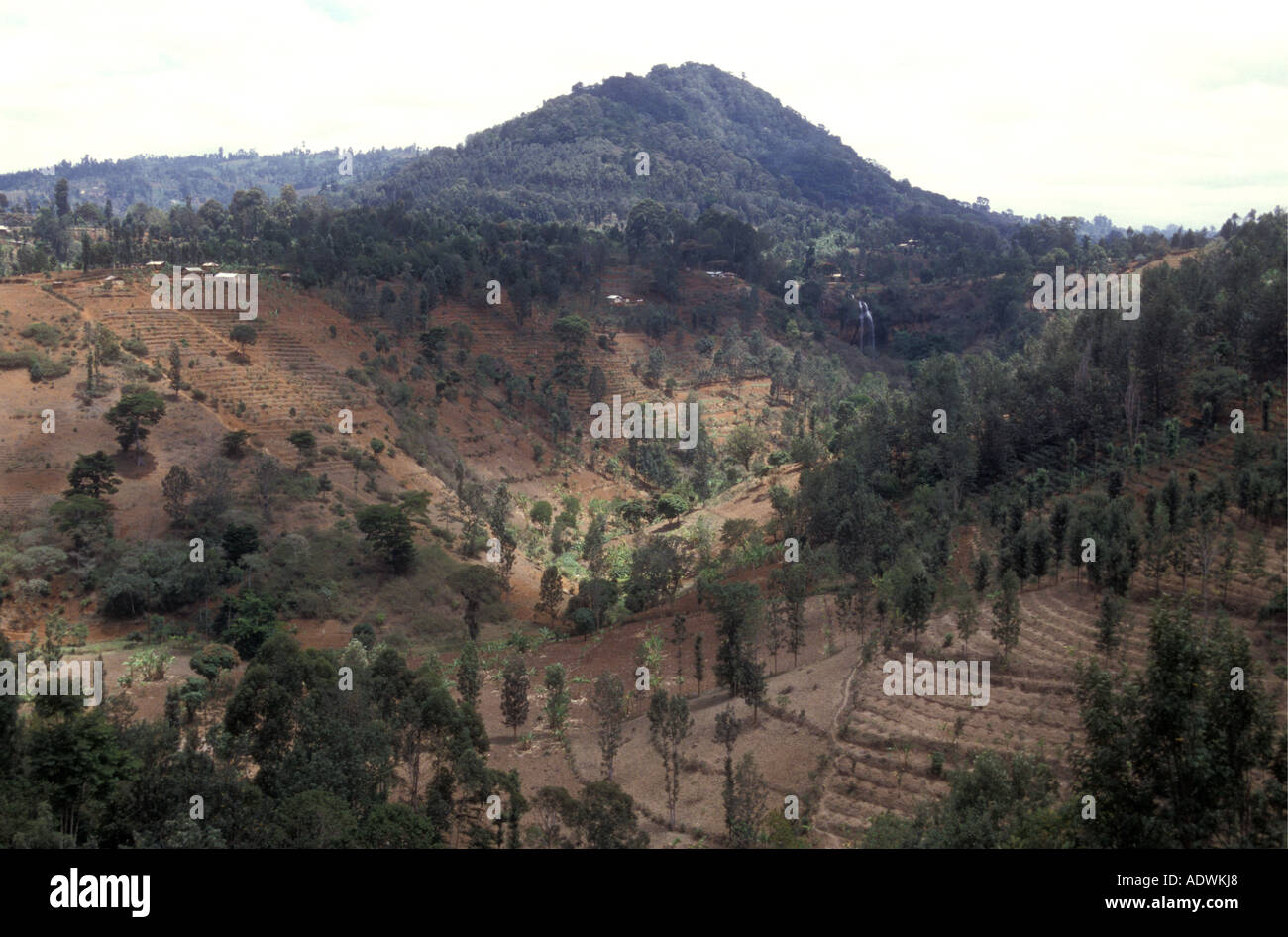 Terrazzamenti e piccole aziende appartenenti al popolo Meru sul lato orientale del Monte Kenya Meru District Kenya Africa orientale Foto Stock