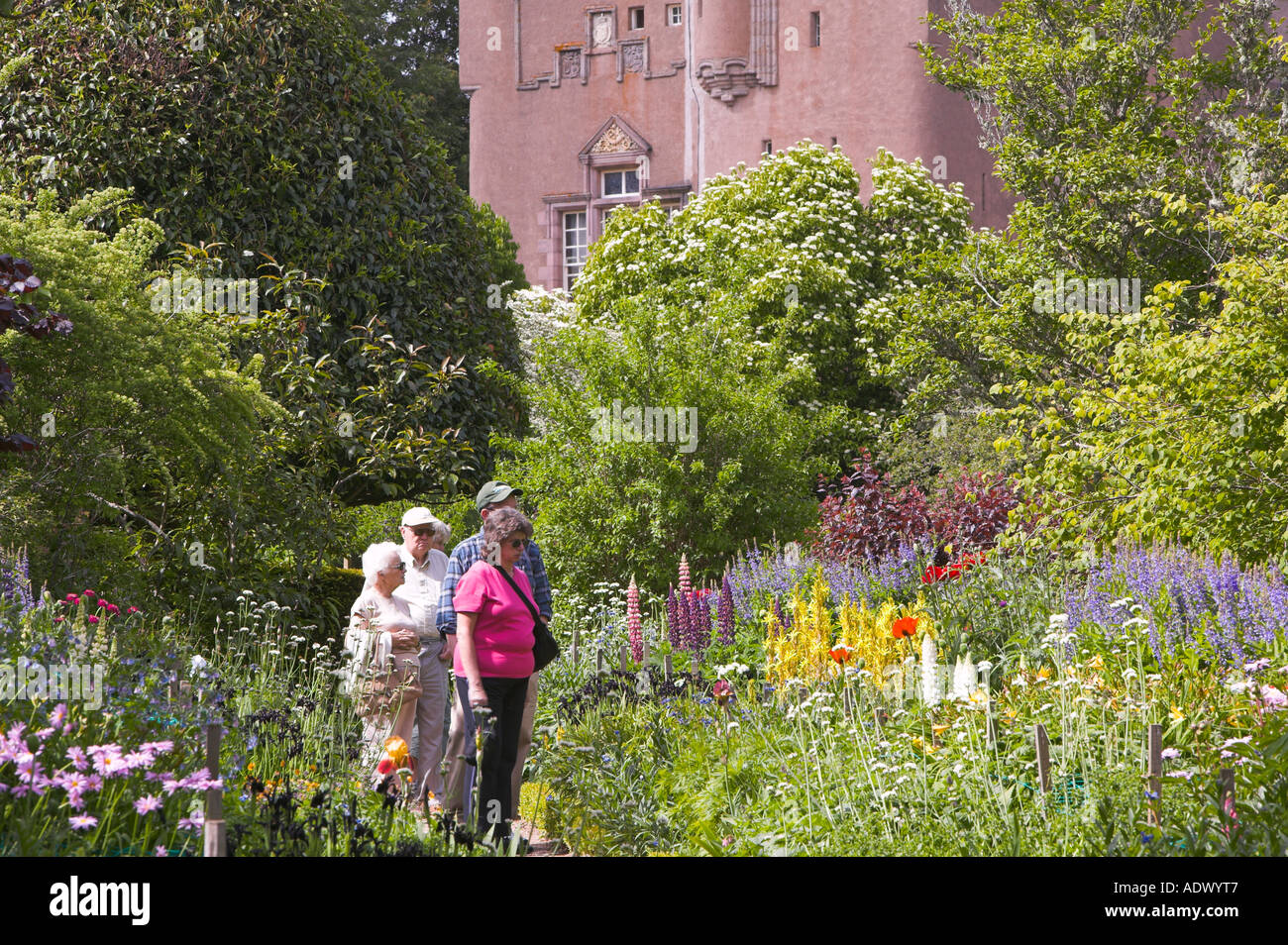 Il giugno del confine in il giardino murato di Crathes Castle, Aberdeenshire, Scozia Foto Stock