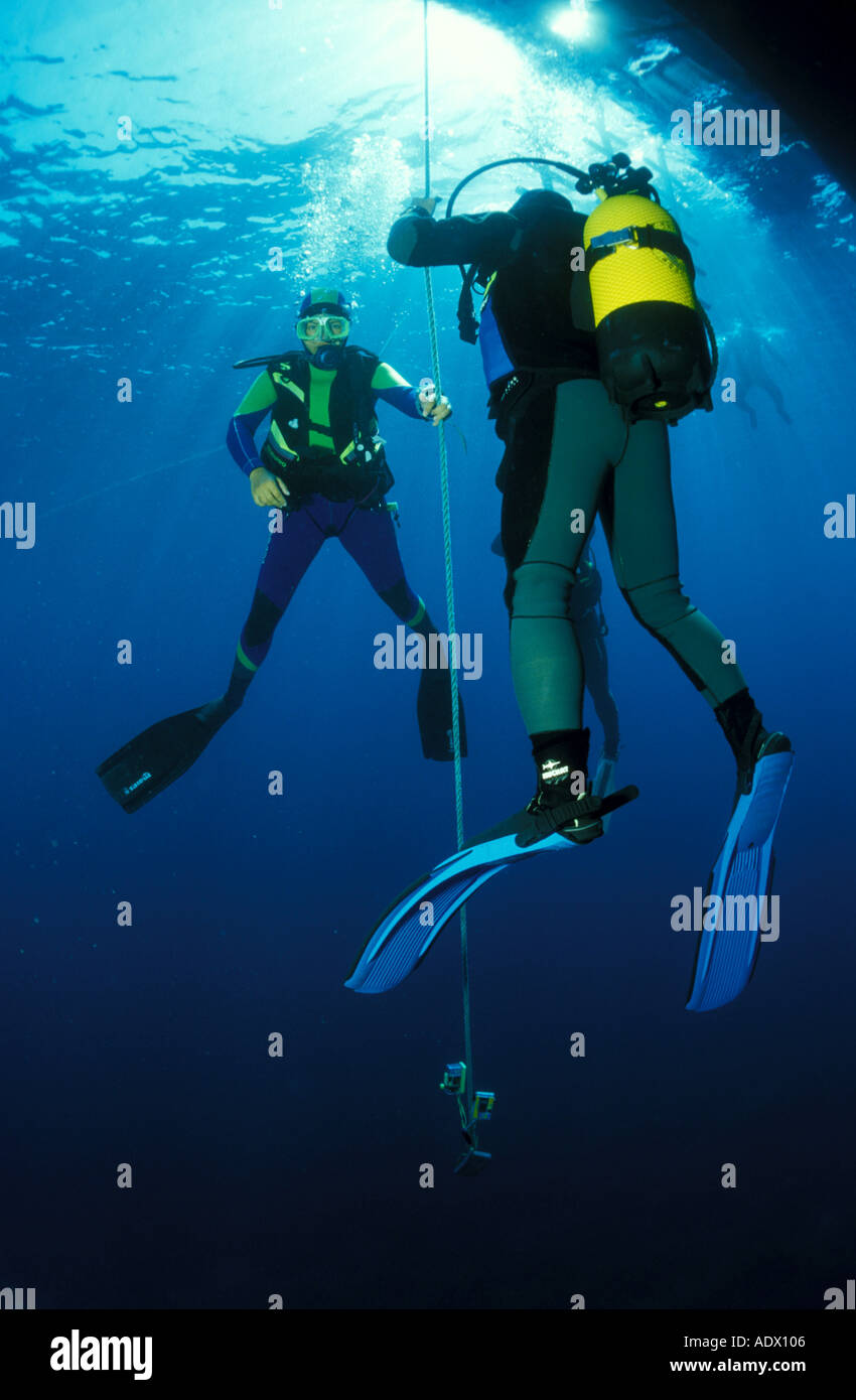 Persone scuba diving, basso angolo di visione Foto Stock