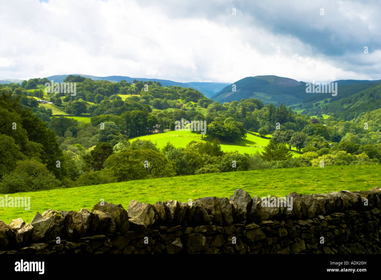 Il verde lussureggiante che si affaccia su campi di Betws-y-coed in Galles del nord che mostra un piccolo bosco ceduo di alberi illuminata dal sole con un cielo nuvoloso. Foto Stock