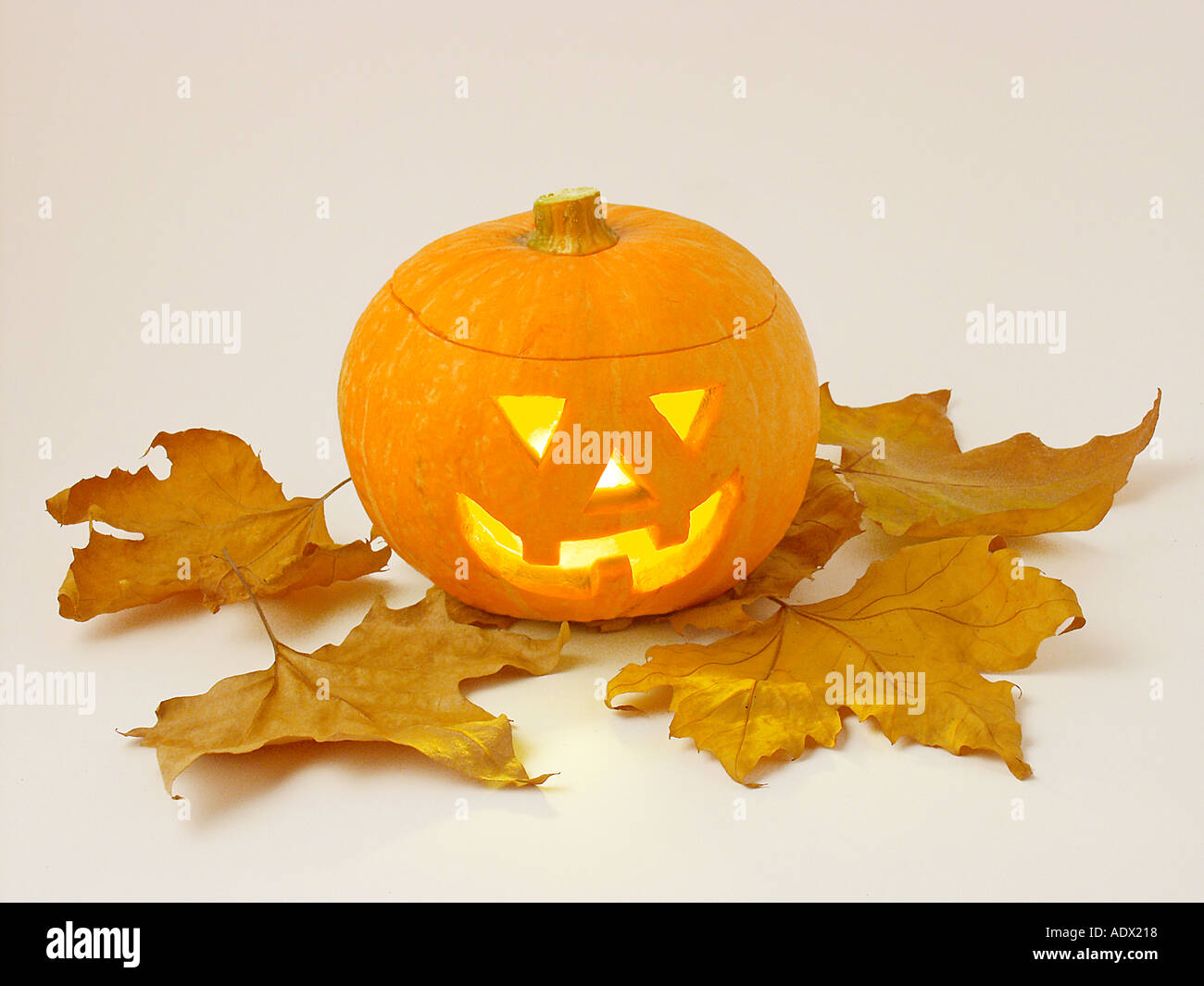 Zucca di Halloween Foto Stock