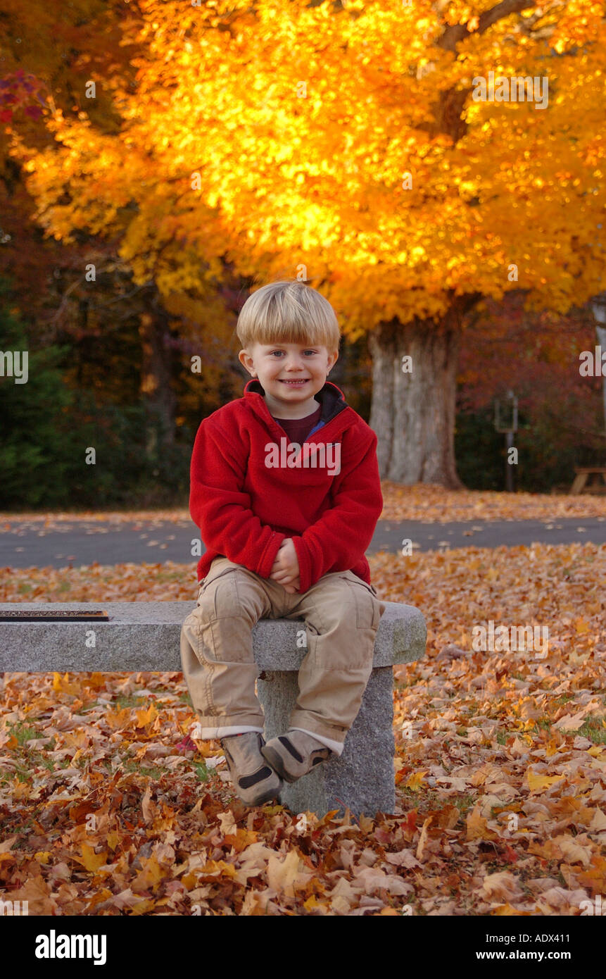 Piccolo Ragazzo bambino seduto per ritratto con l'autunno di new England colori in background Foto Stock